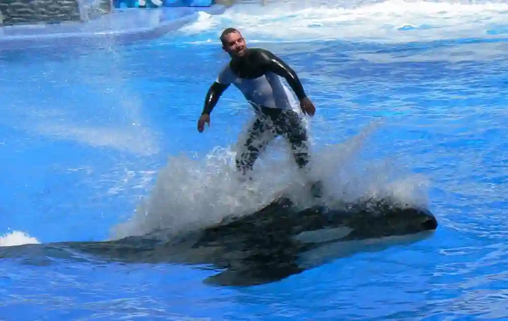 SeaWorldORL08-04-01a
