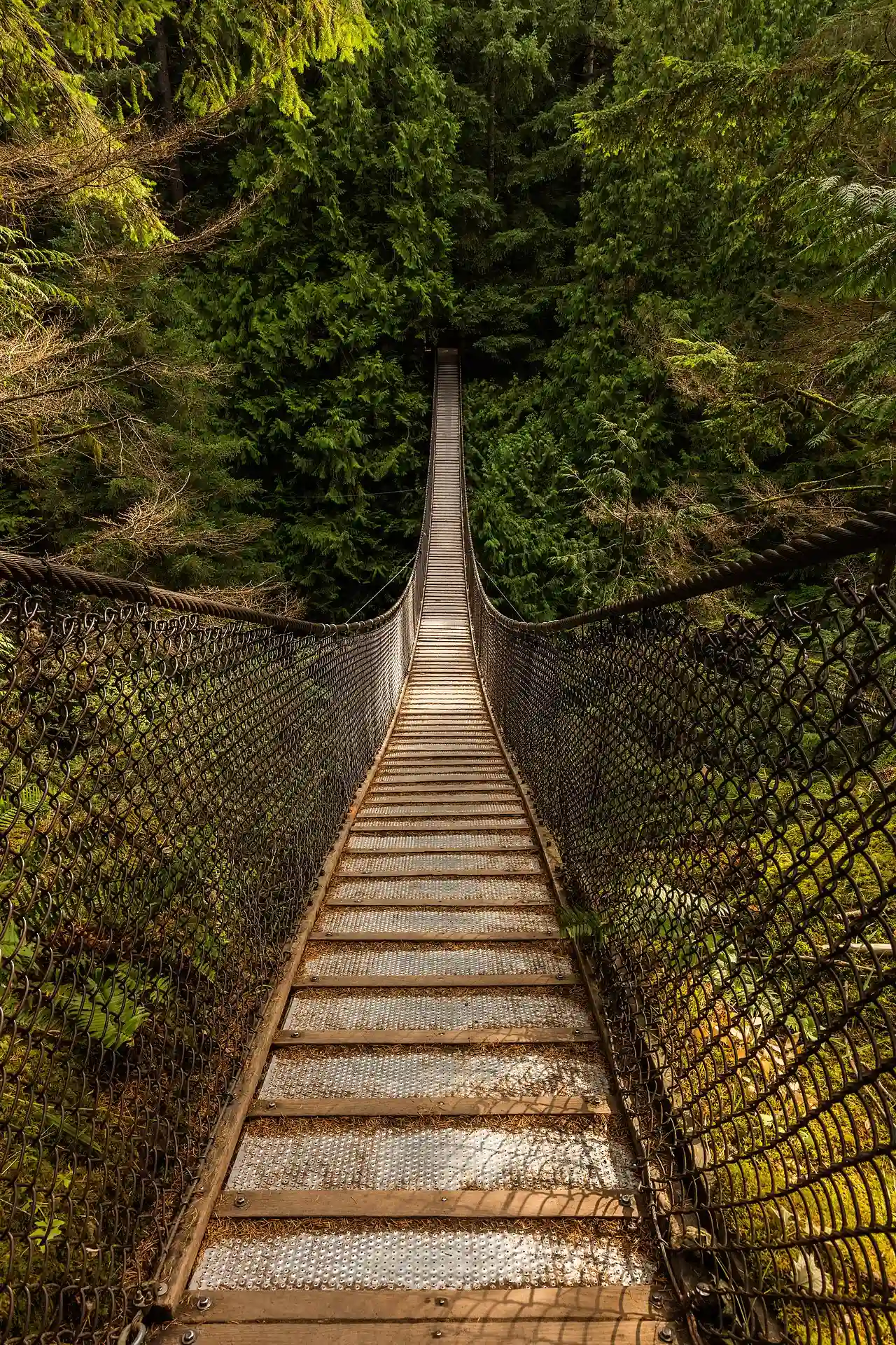 Puente colgante sobre el cañón Lynn, Vancouver, Canadá, 2017-08-14, DD 10