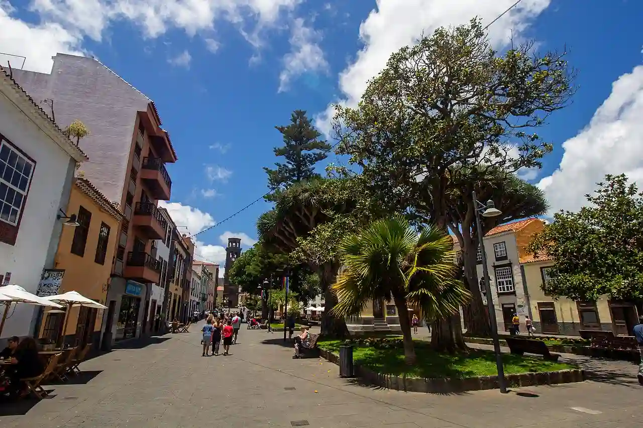 At La Laguna, Tenerife 2019 087
