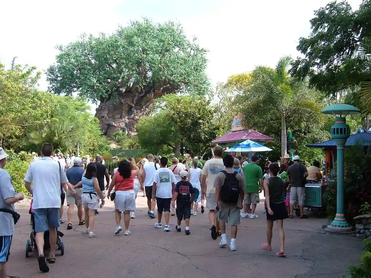 At Disney's Animal Kingdom 1