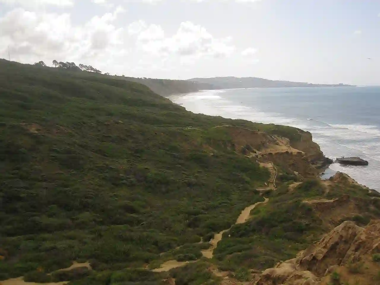 Torrey Pines State Reserve