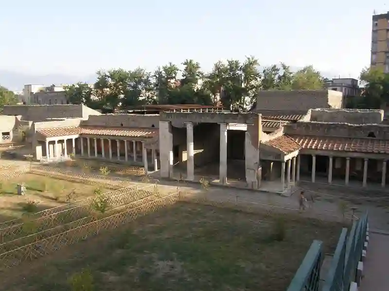 Villa Poppaea 2009 163 (RaBoe)