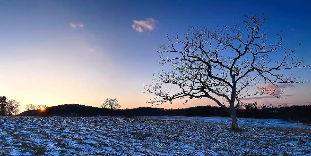 Hallowed ground at Valley Forge
