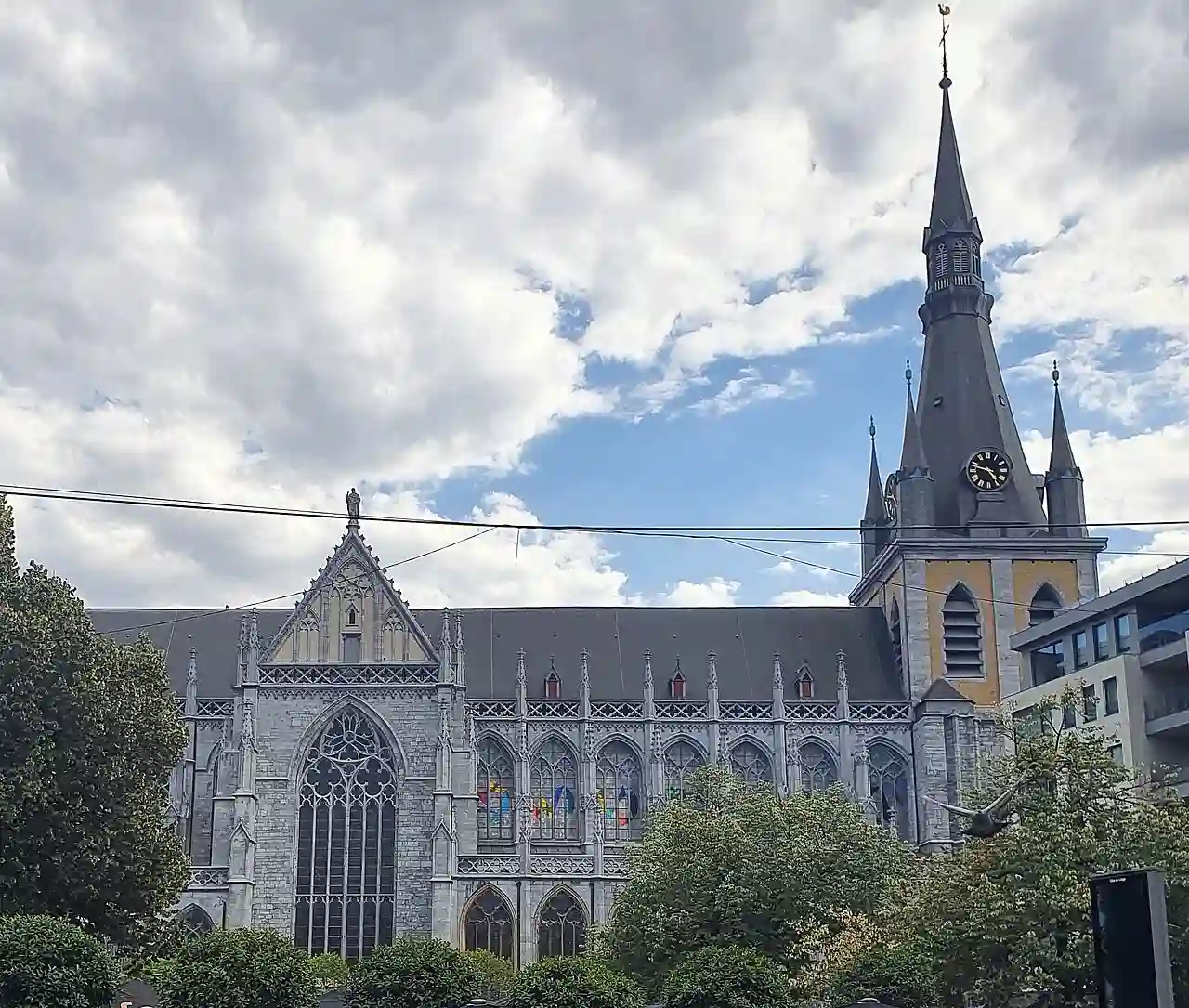 2022-08 Cathédrale Saint-Paul de Liège - crop