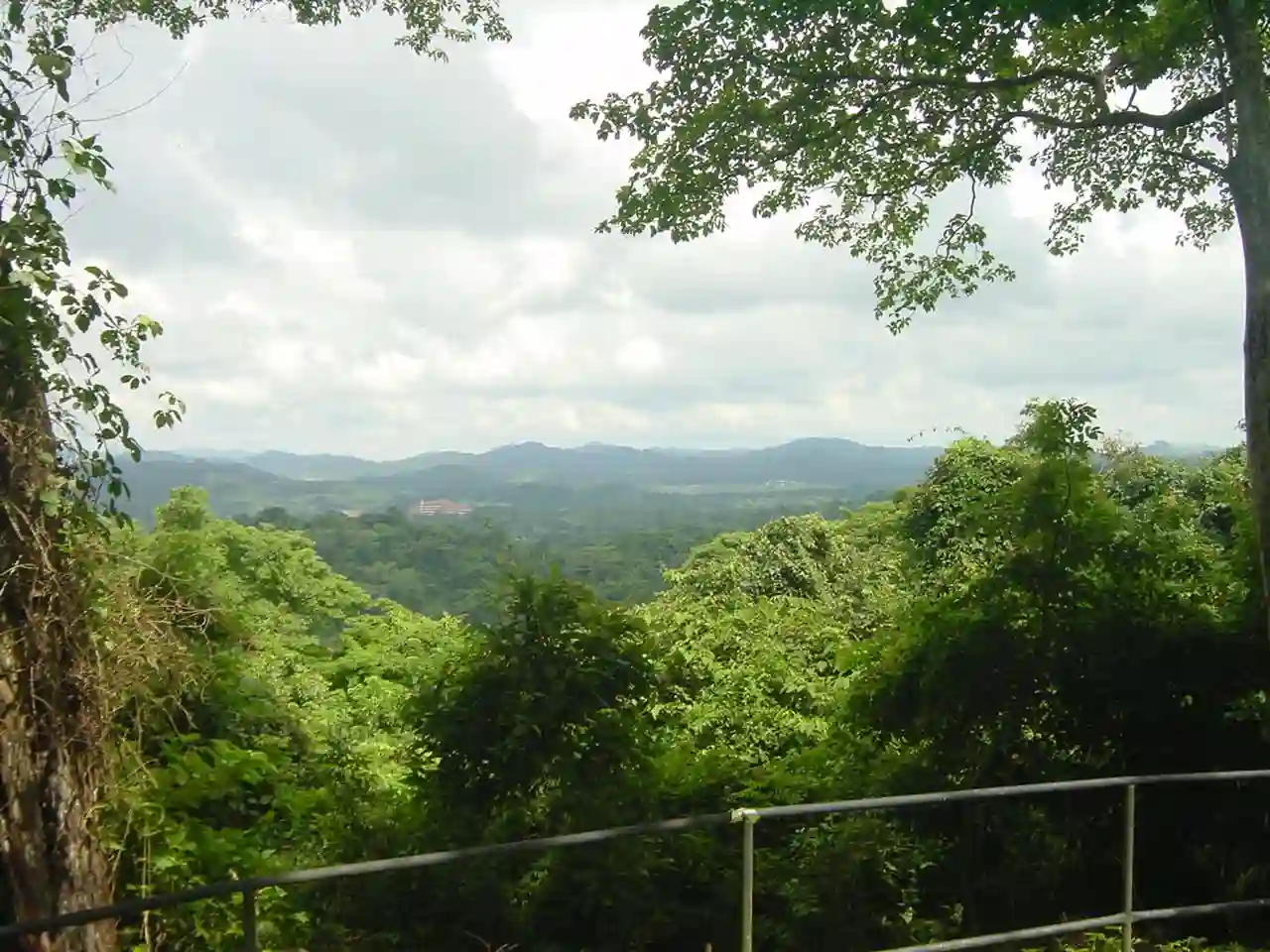 Parque Natural Metropolitano - Mirador - panoramio