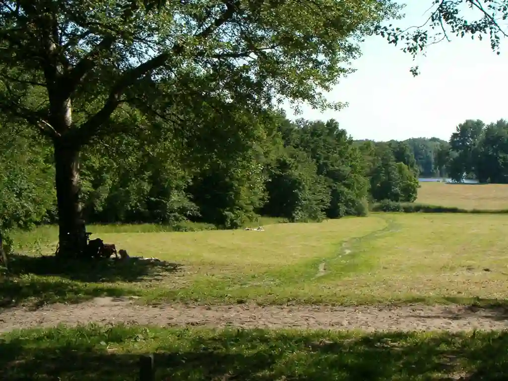 Amsterdamse-bos-heuvel
