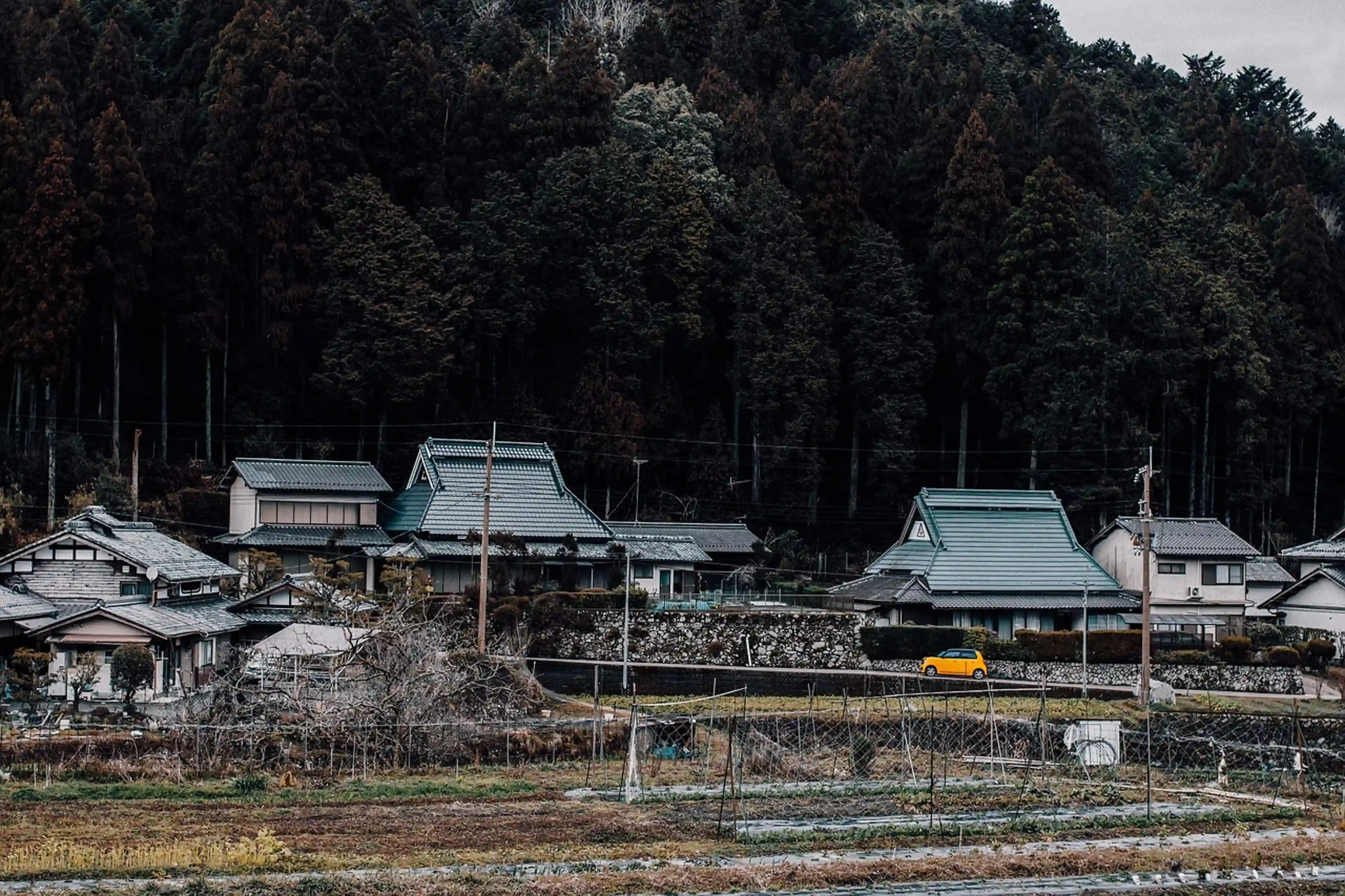 Kyoto - 3