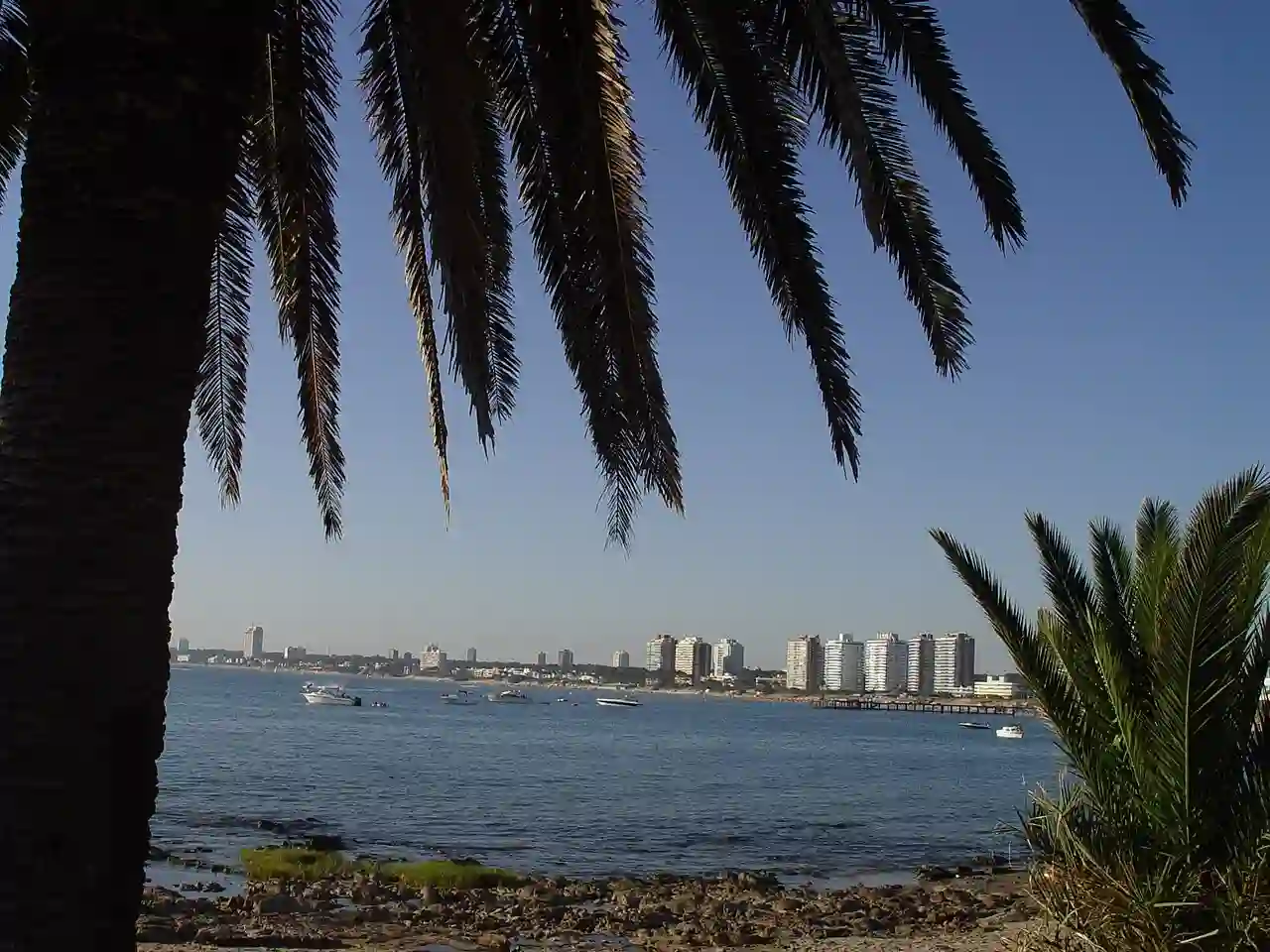 Mansa Beach Punta del Este Uruguay