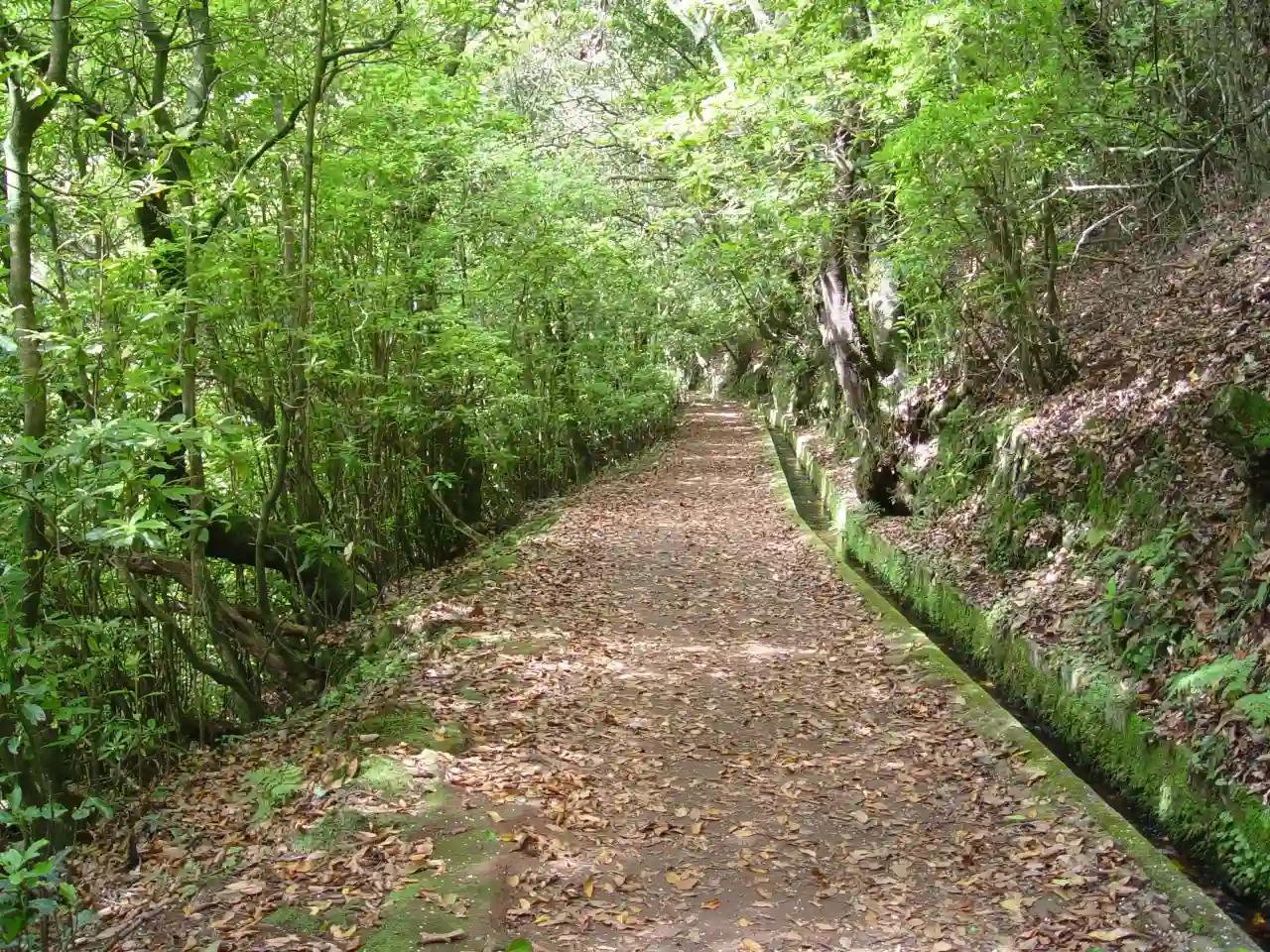 Levada do Furado Madeira