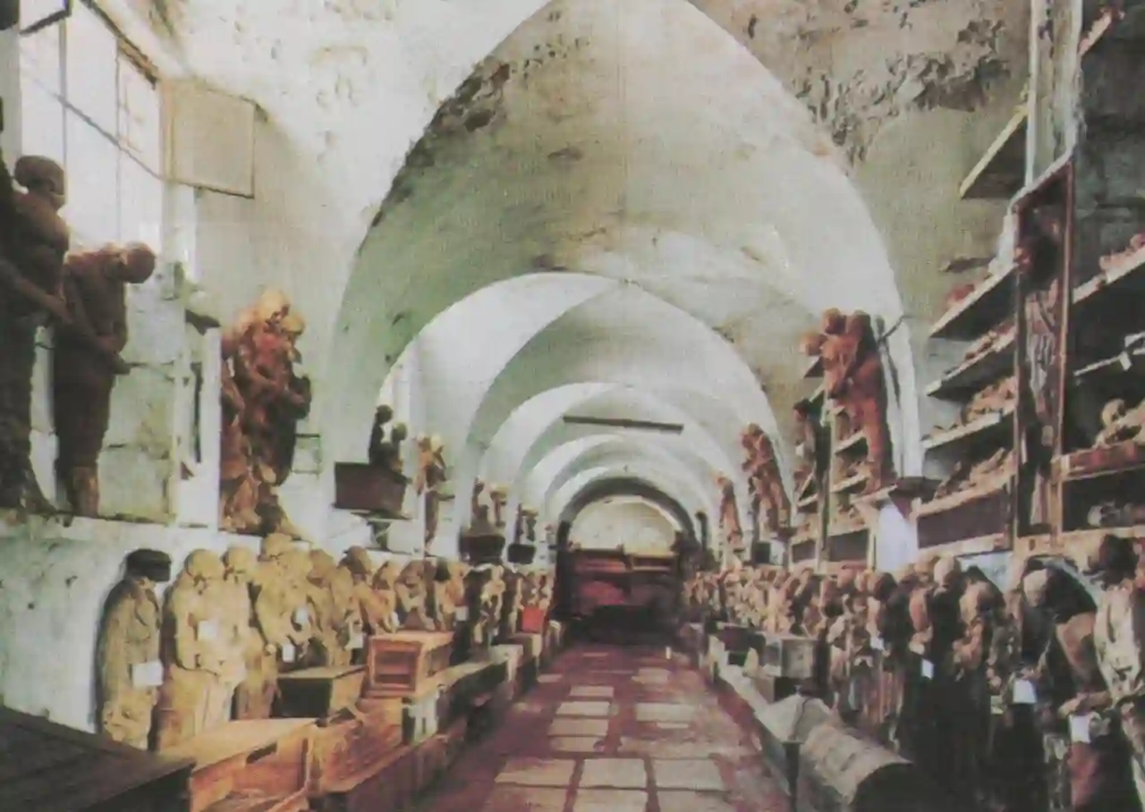 Professionalists' Corridor
