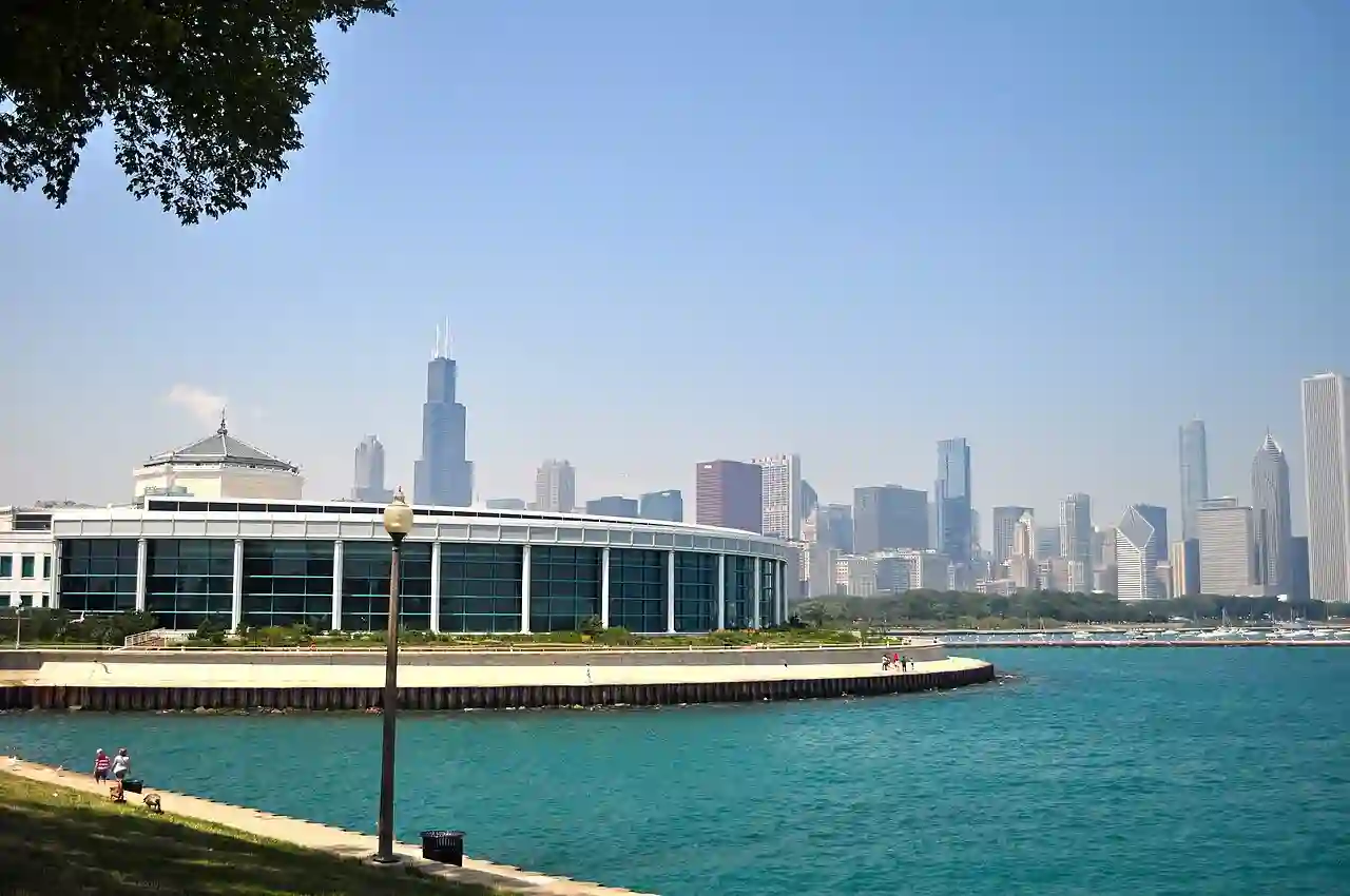 The Shedd Aquarium - 7714039518