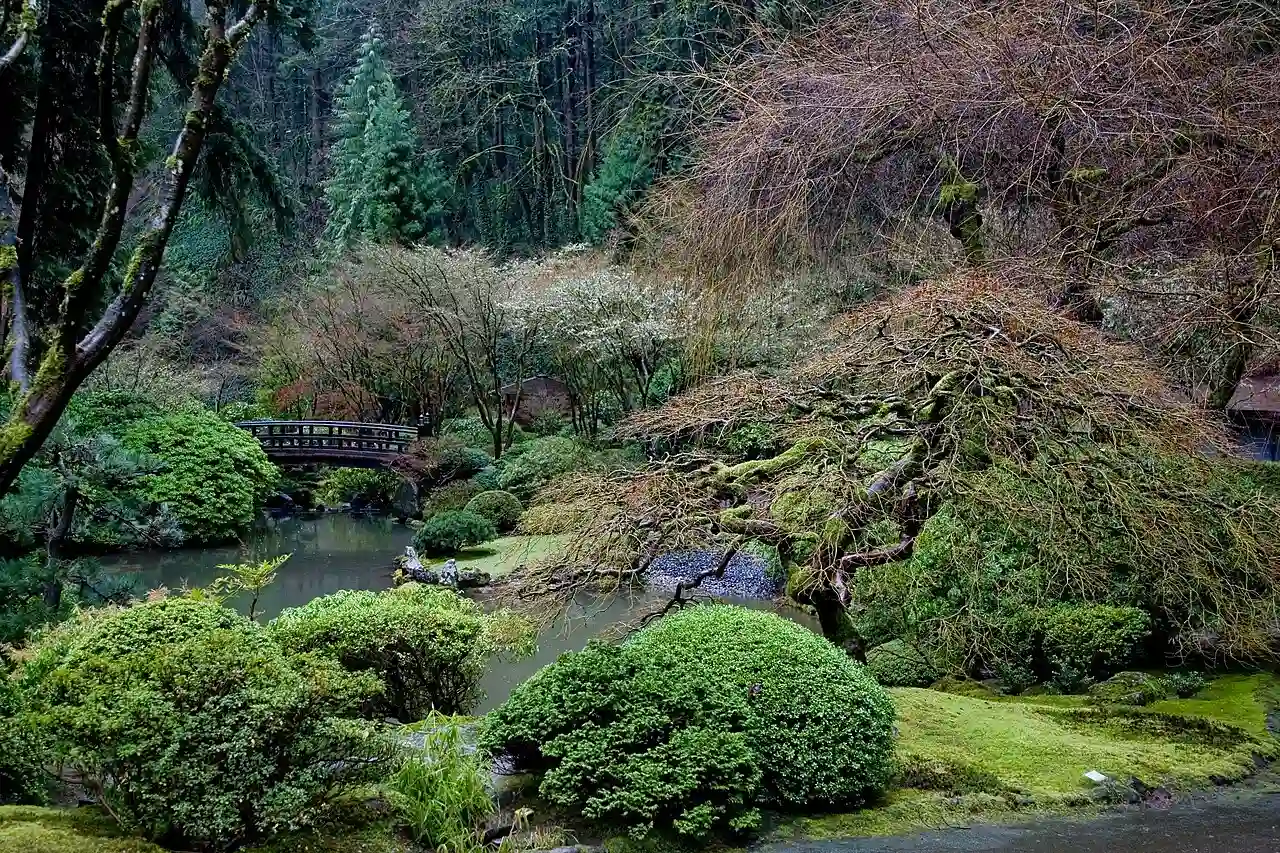 Japanese Garden -1