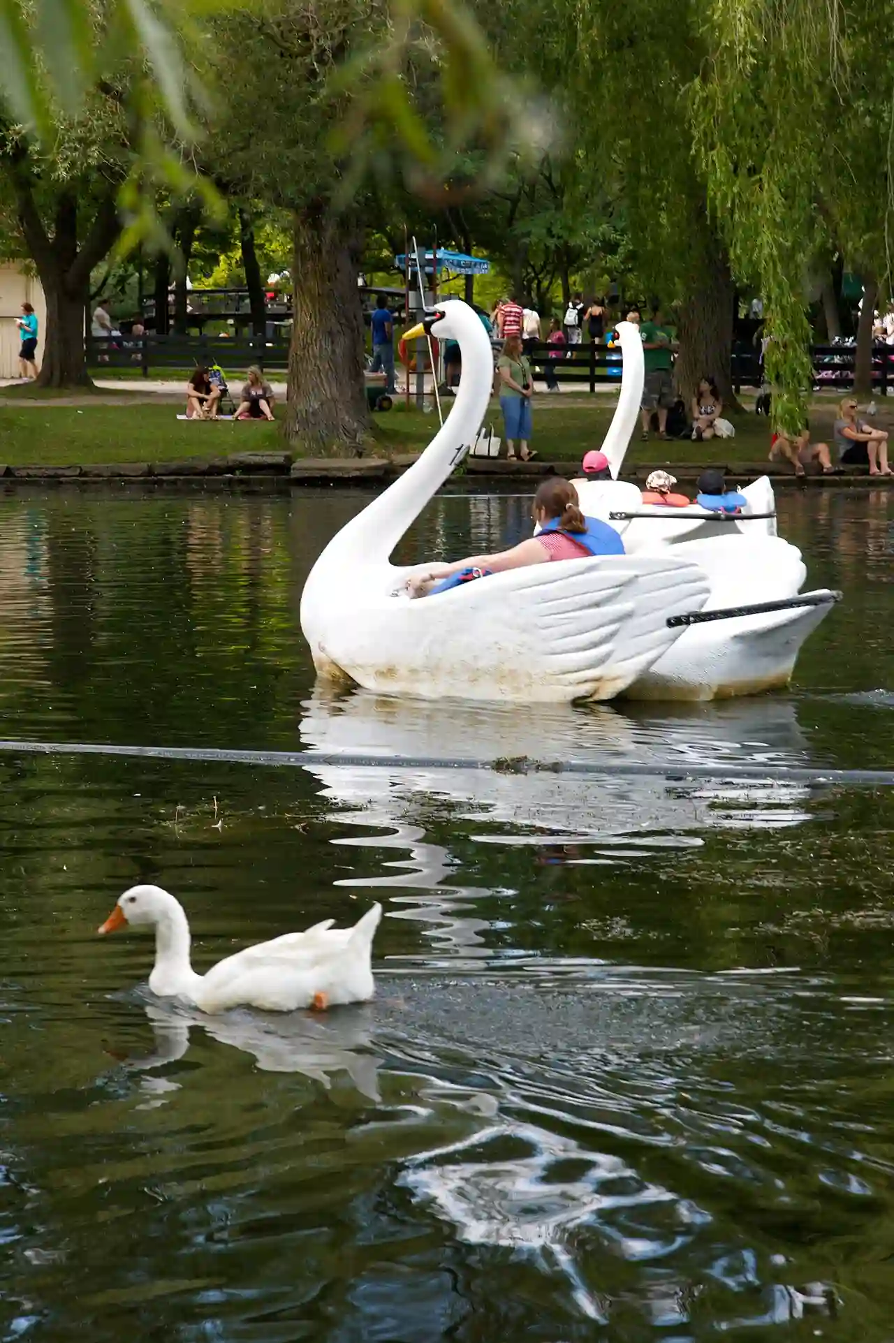 Artificial and real