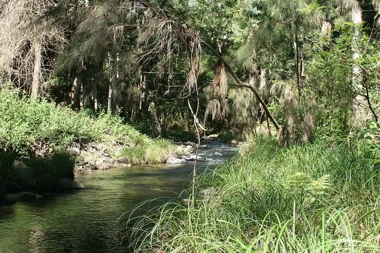 Coomera River in Lamington National Park
