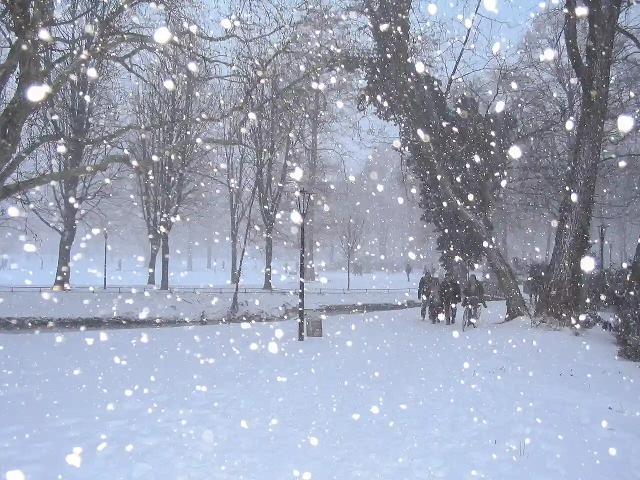 Düsseldorf Hofgarten 2009
