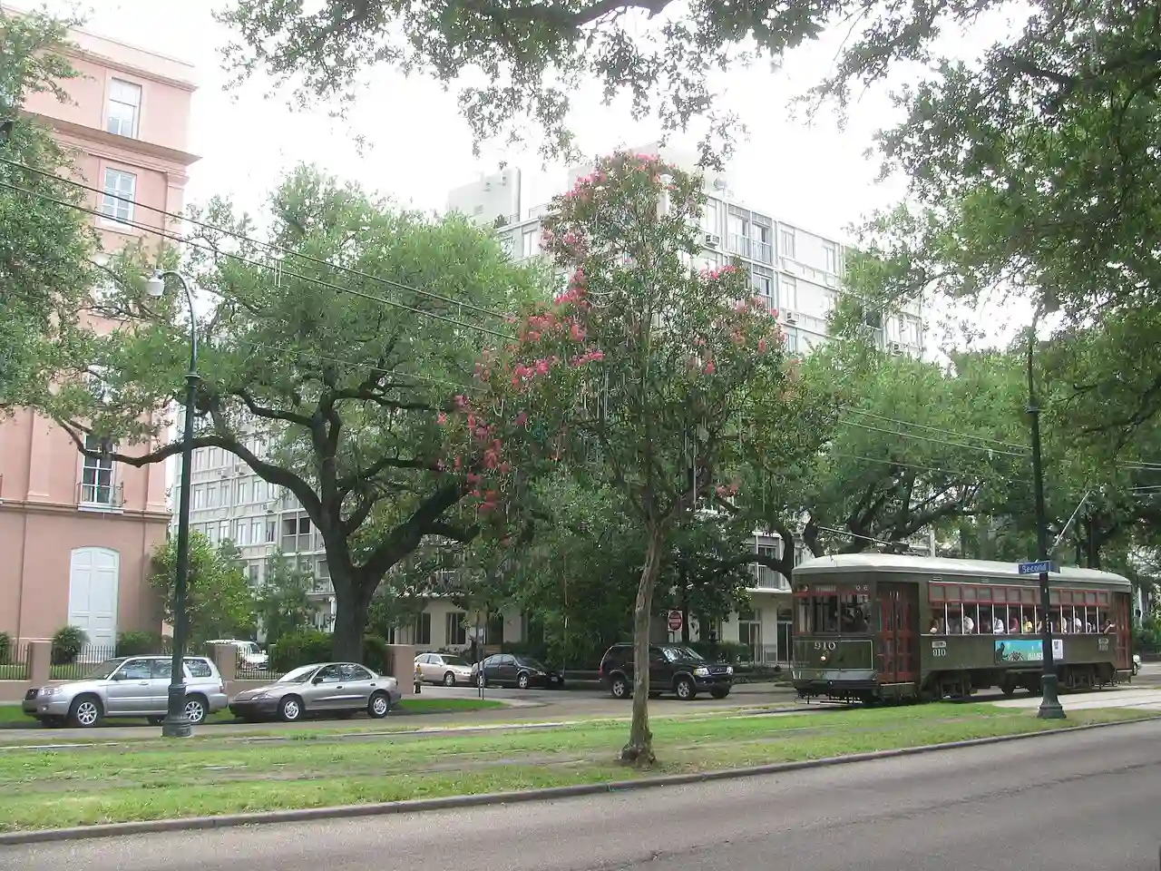 20080622 St. Charles St. Trolley behind tree with Mardi Gras beads