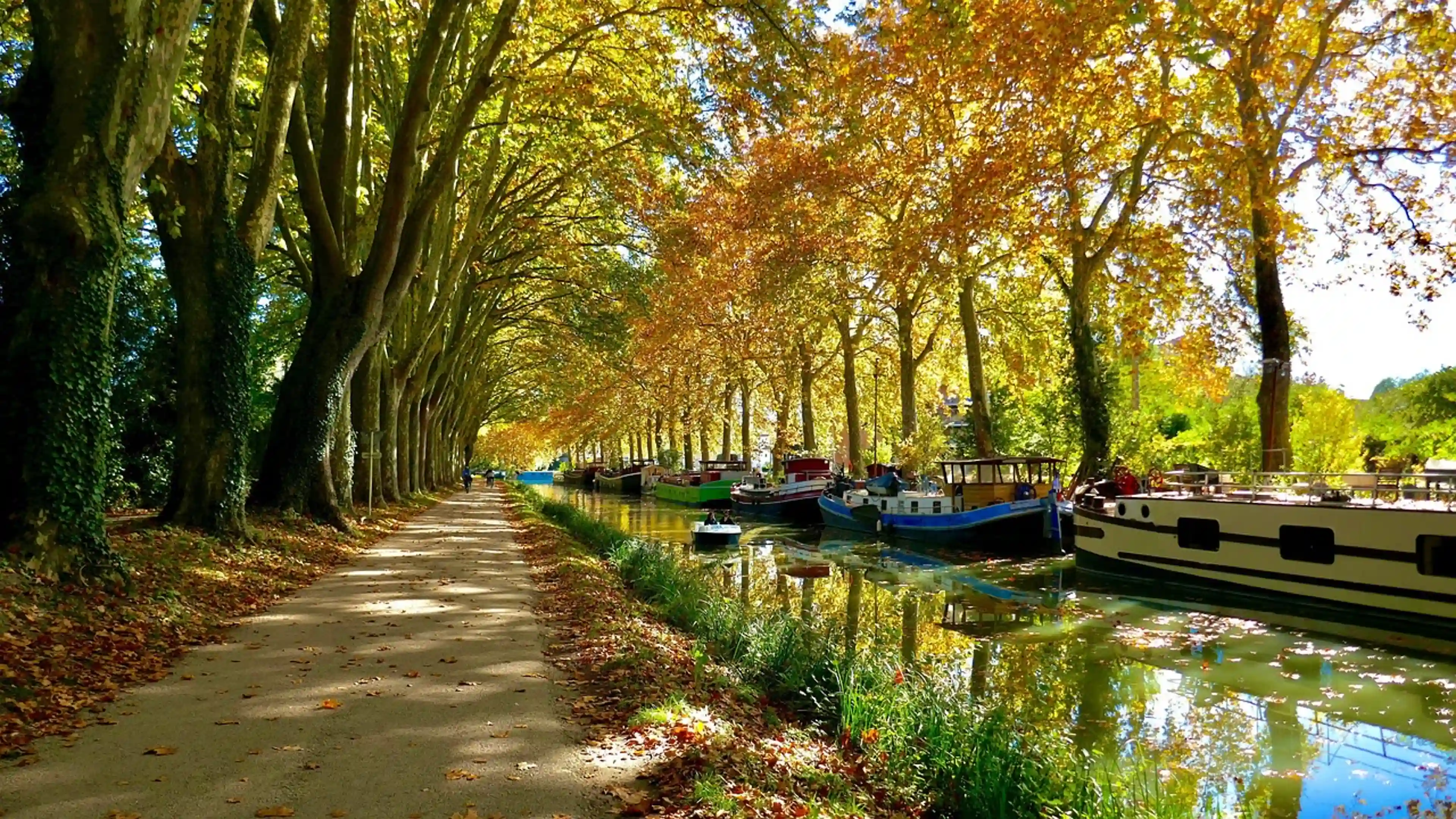 Toulouse - 4