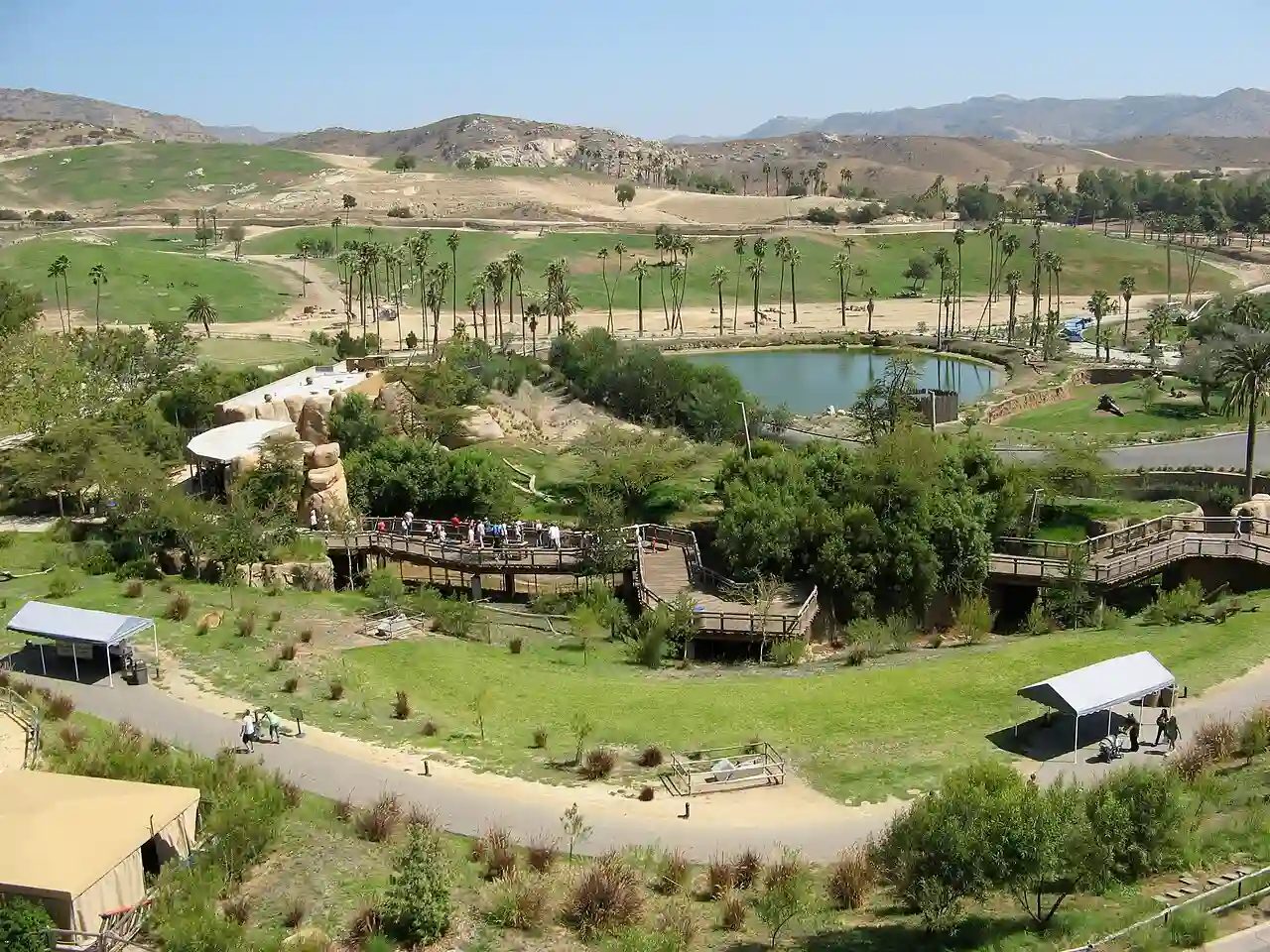 Sandiego wildanimalpark