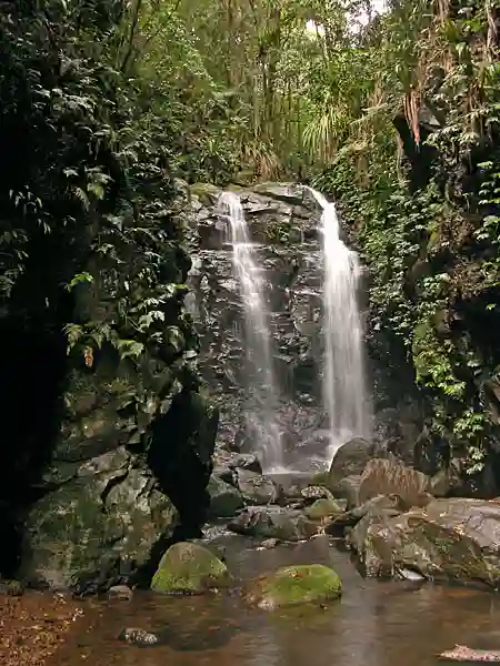 Box Log Falls