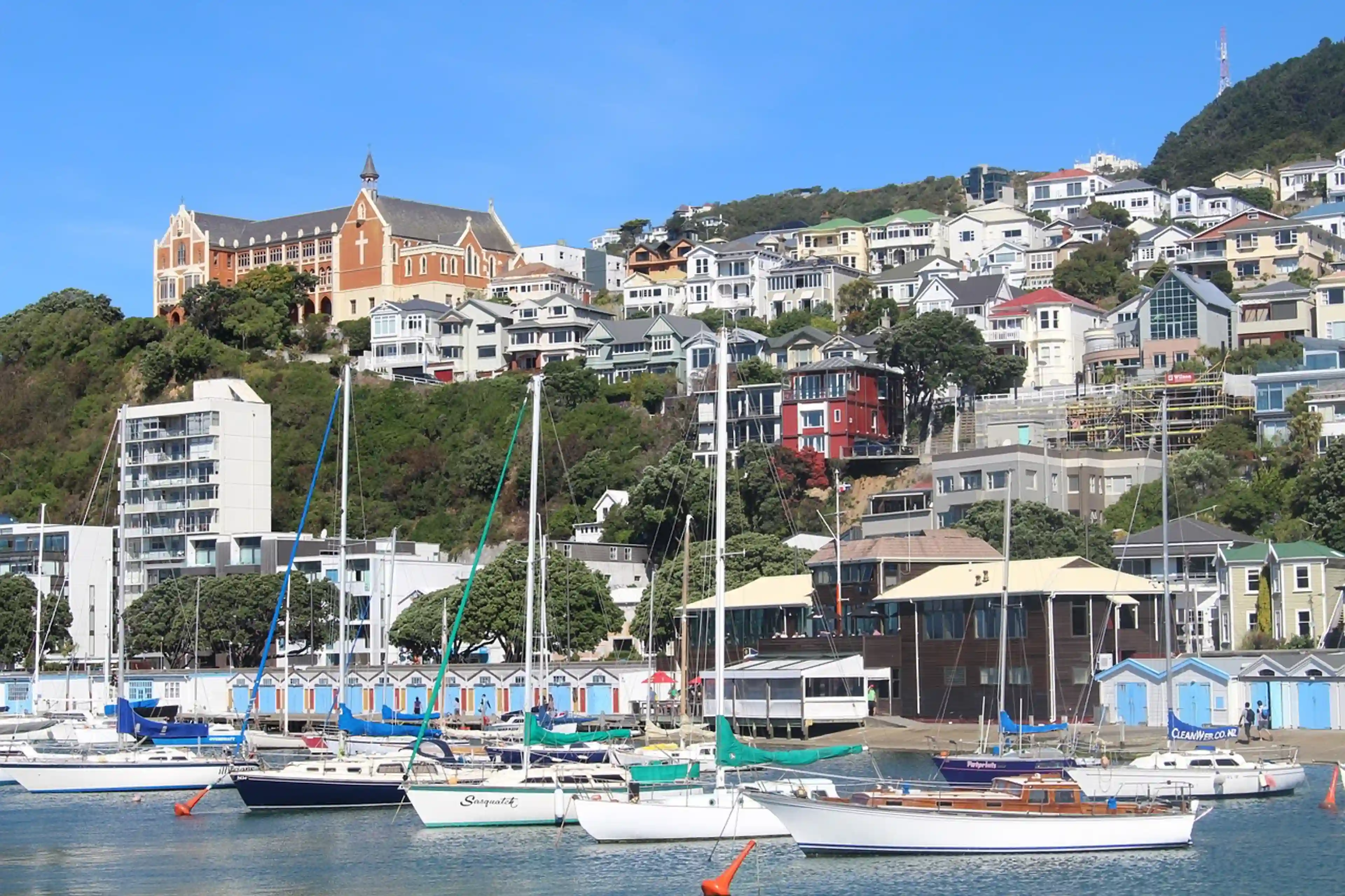 Wellington - 3