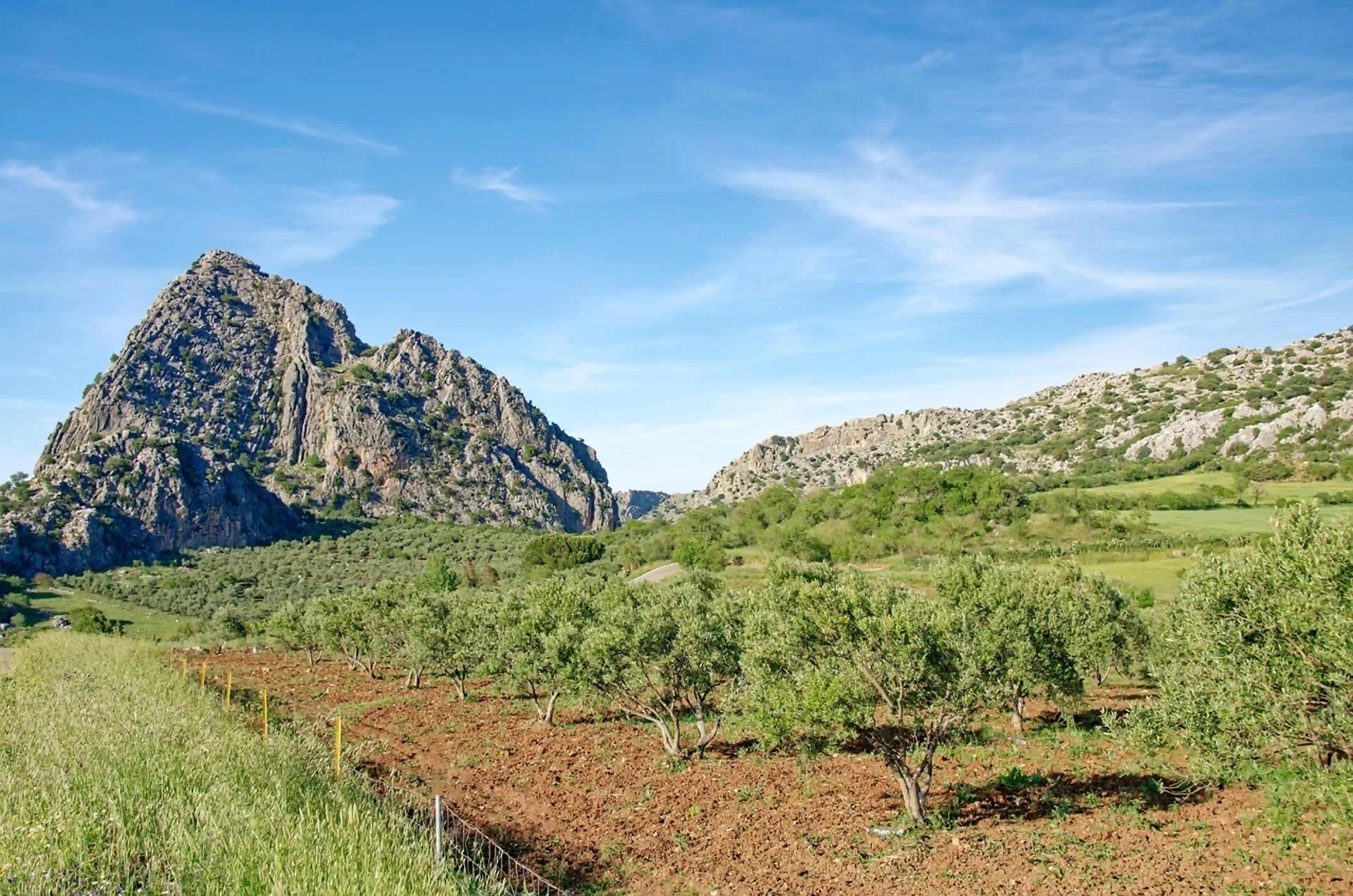 Saint-Jacques-de-Compostelle - 5