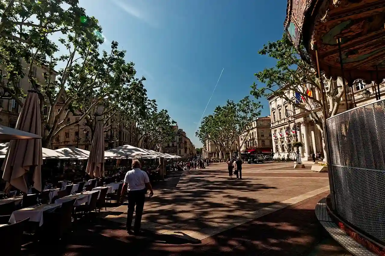 Avignon - Place de l'Horloge - View South along Manège des Enfants - Platanus