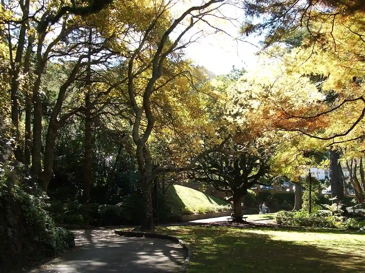 WellBotGardenpath