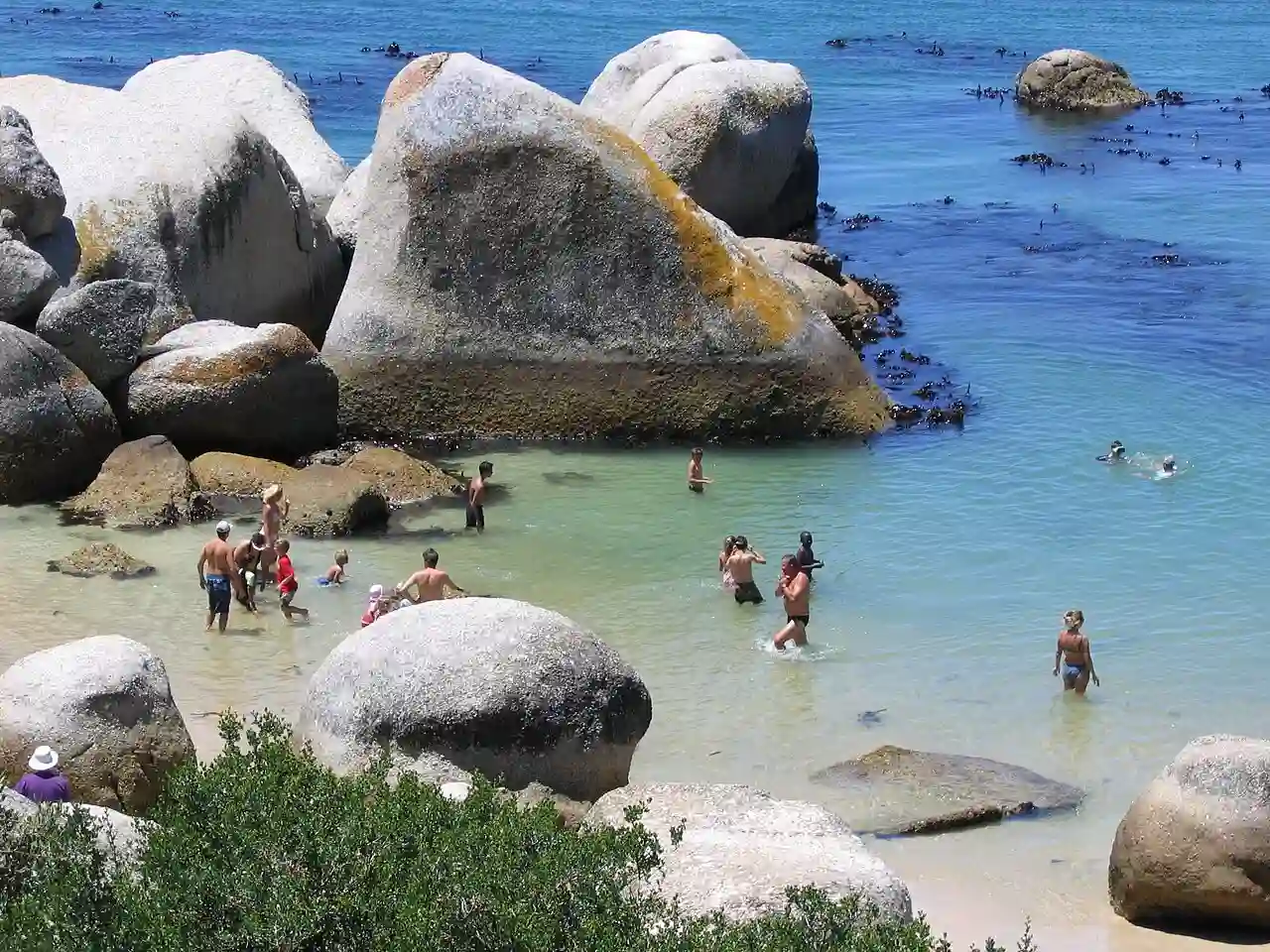 Swimmers at Boulders Beach, Cape Town