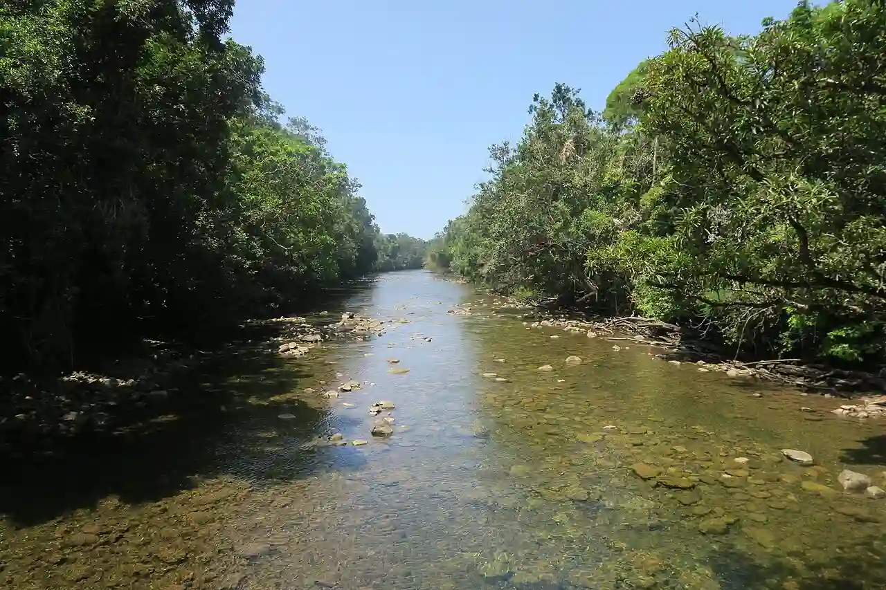 20160923113050 - One of the many rivers in the Daintree (29917413112)