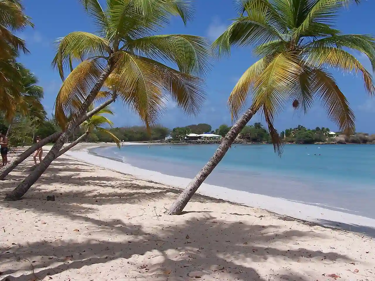 Martinique Beach (Salines)