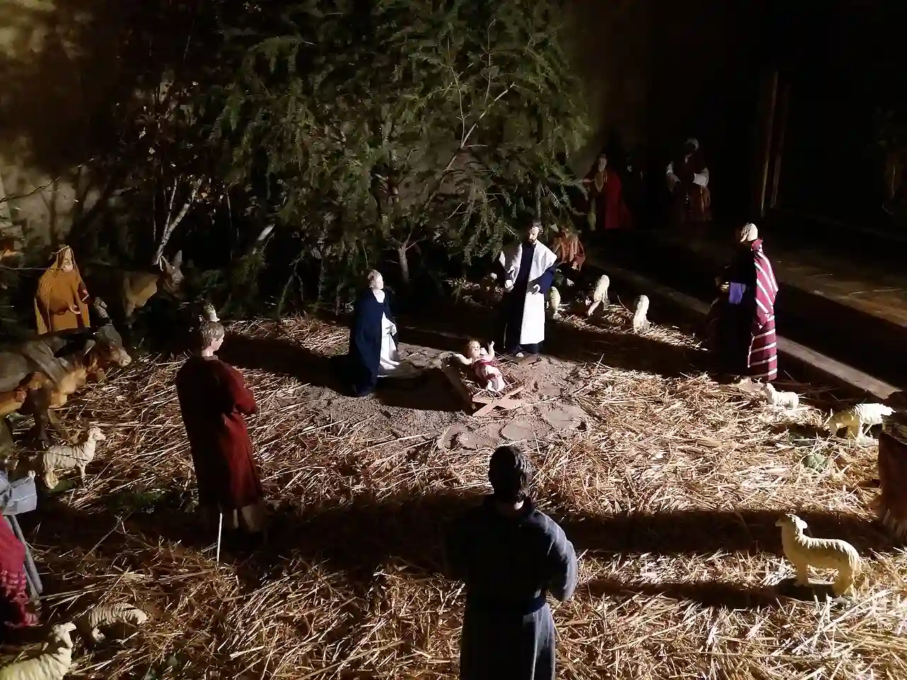 Lyon 5e - Cathédrale Saint-Jean de Lyon - Crèche 2019
