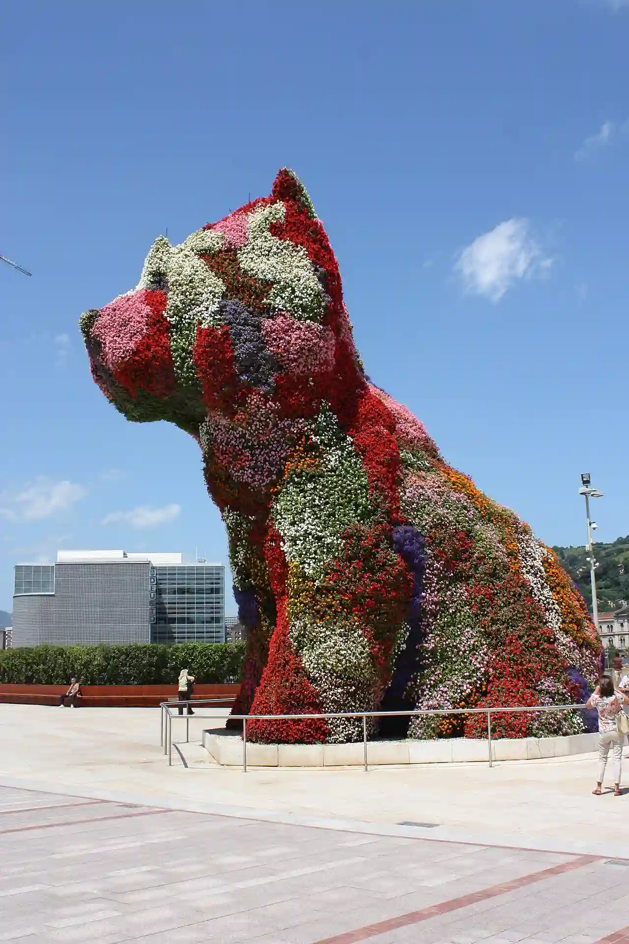 Puppy, Bilbao, July 2010 (01)