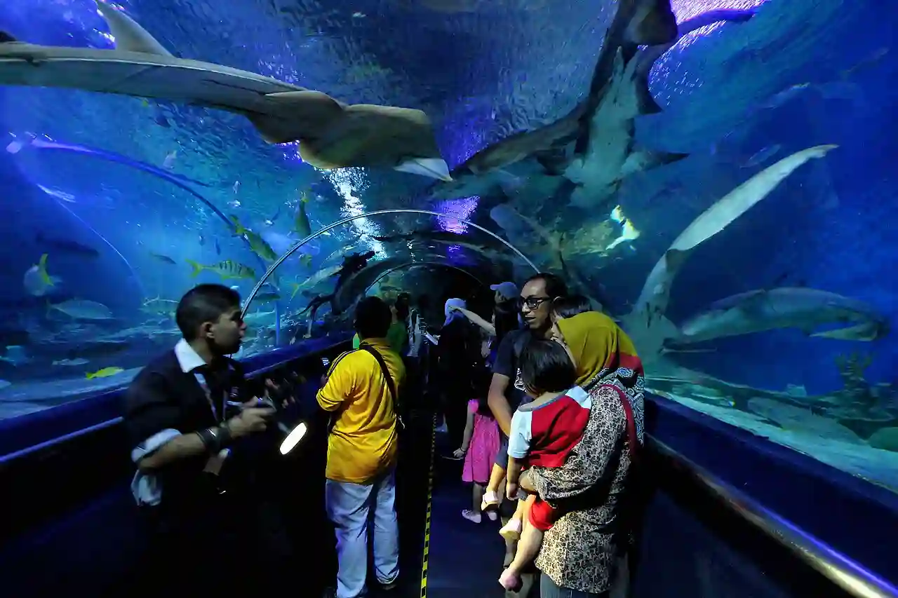 Underwater tunnel in Aquaria KLCC
