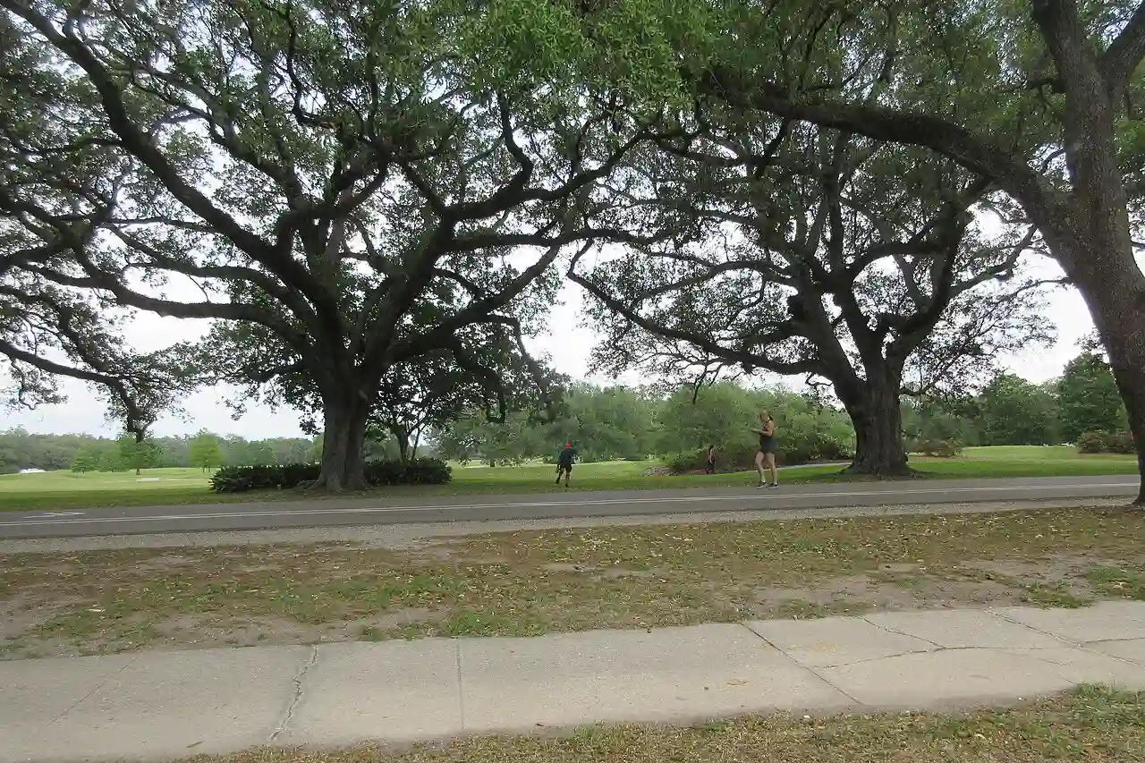 Audubon Park New Orleans 7 April 2020 - 03