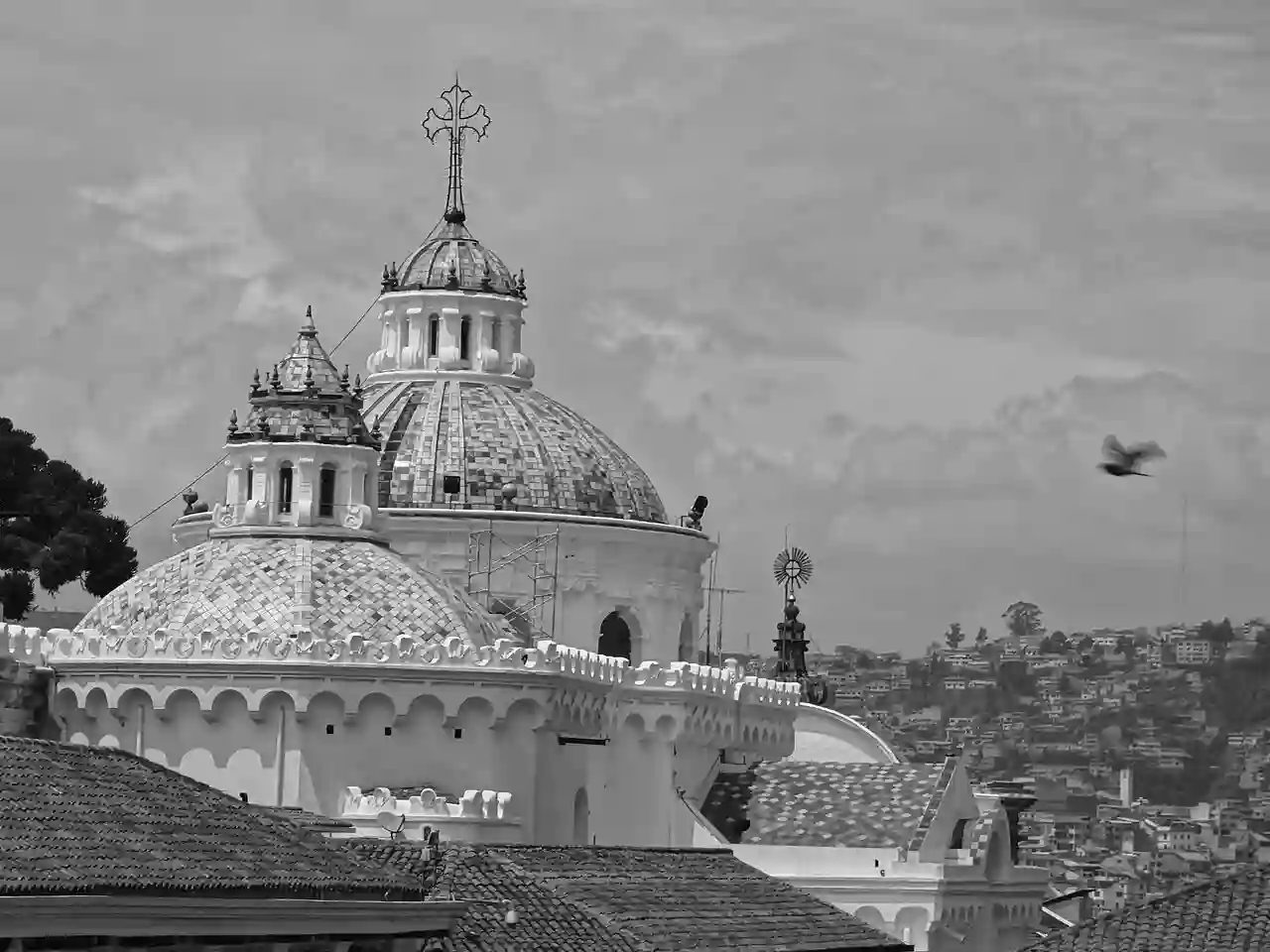 (Dome of the La Iglesia de la Compañía) photographed from Plaza San Francisco, Centro Histórico de Quito