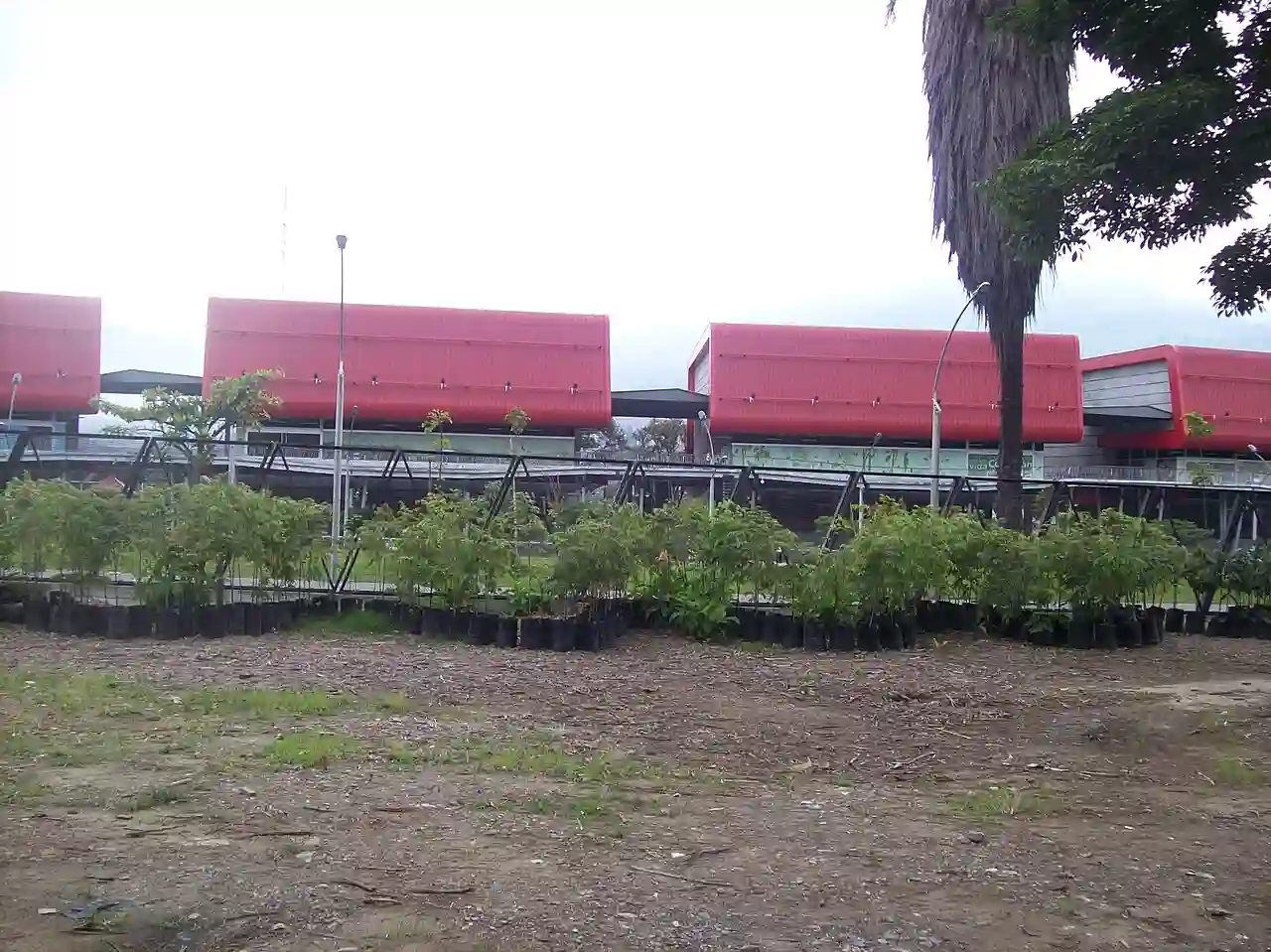 Parque Explora desde el Jardín Botánico