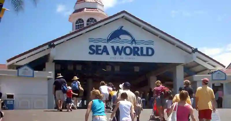Sea world australia