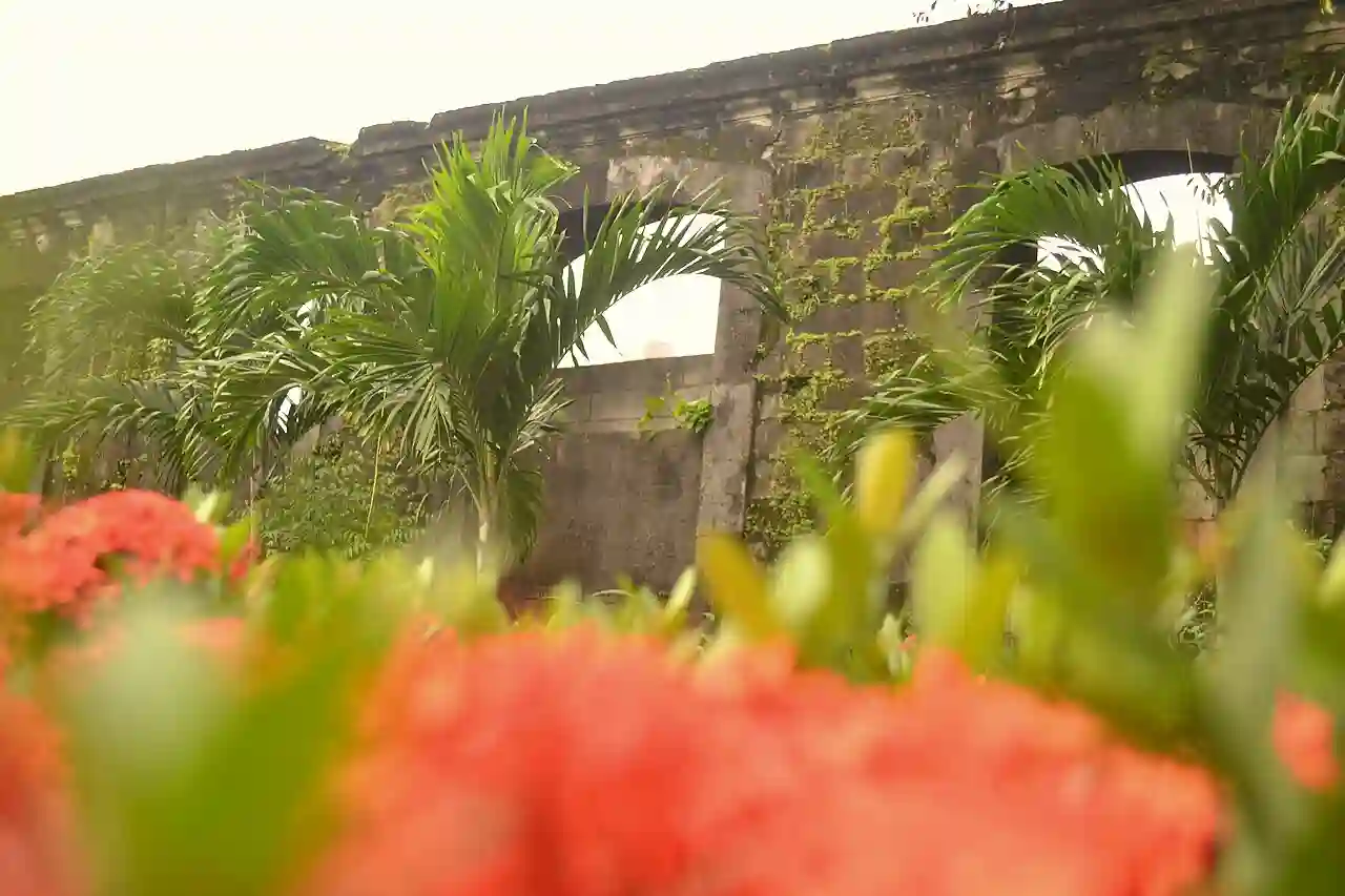 A Peak from the Ruins of a "Dulaan"
