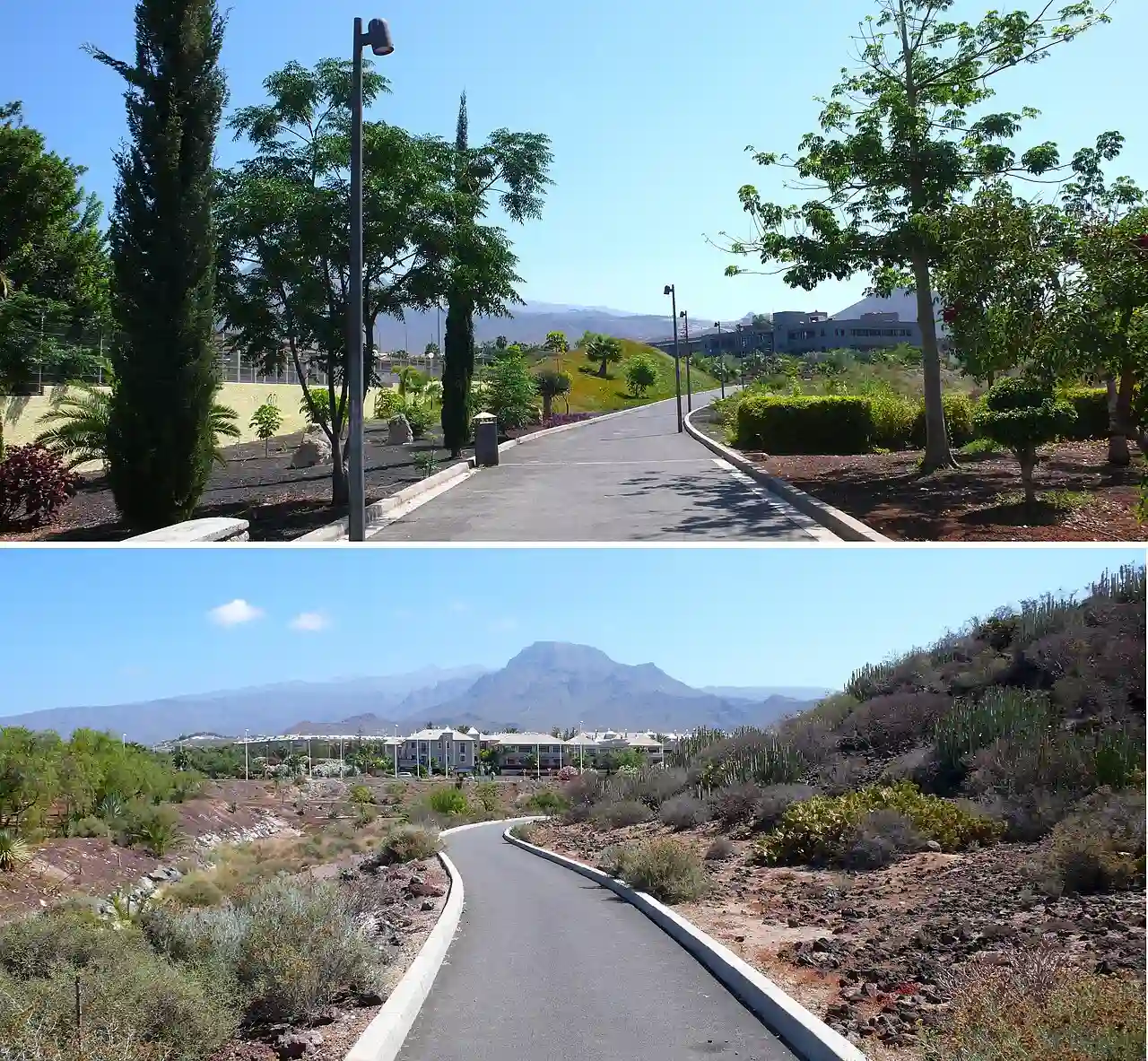 Parquecentralarona1