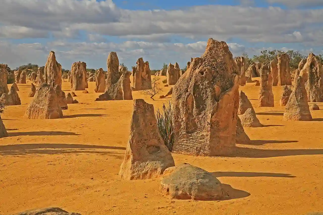 1184 Nambung National Park
