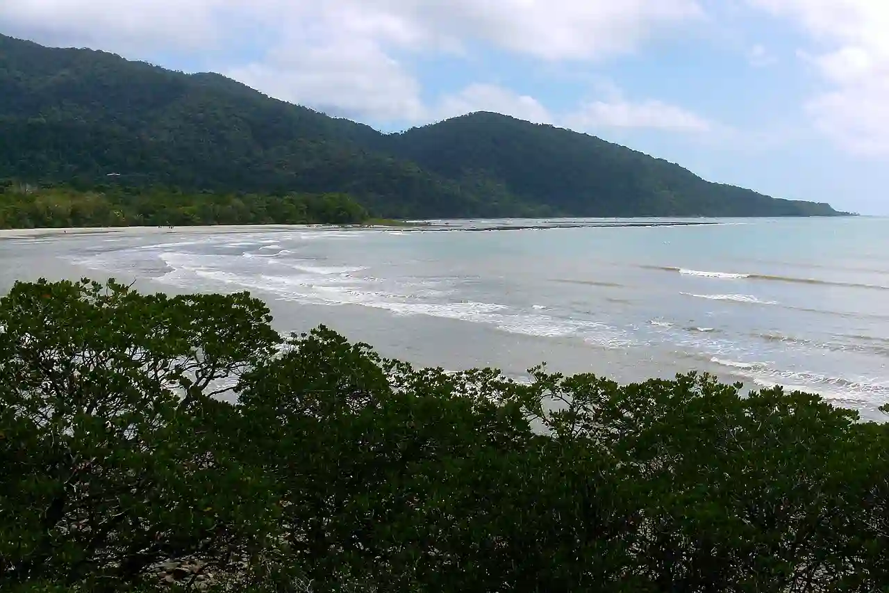 Cape Tribulation (3610978311)