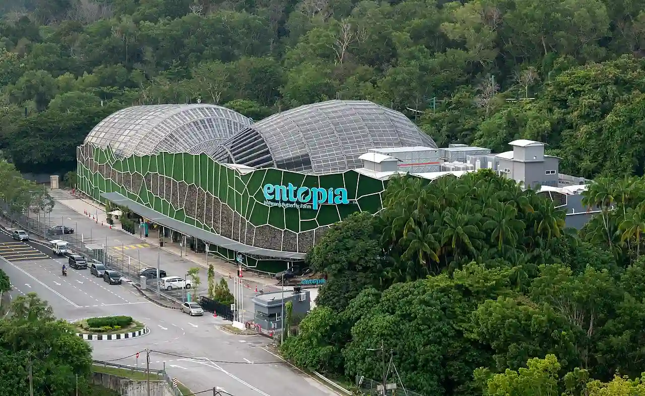 Penang - Entopia view from Teluk Bahang Dam - May 2024
