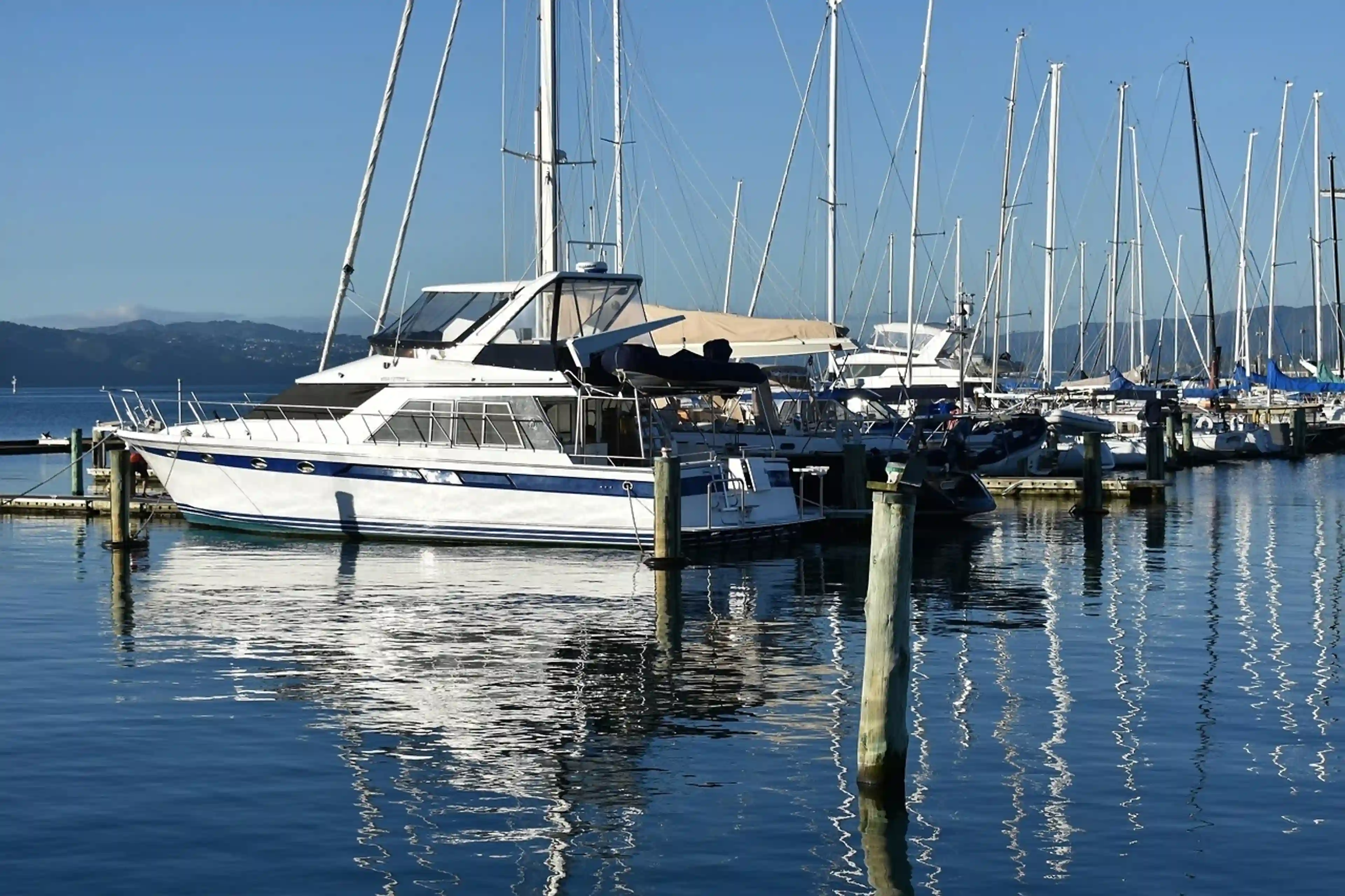 Wellington - 1