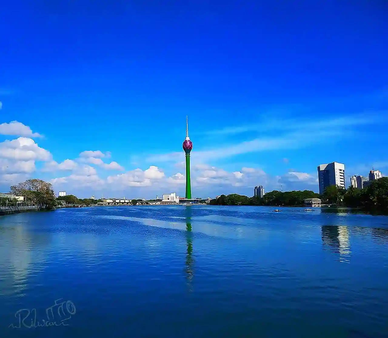 Blue lotus tower