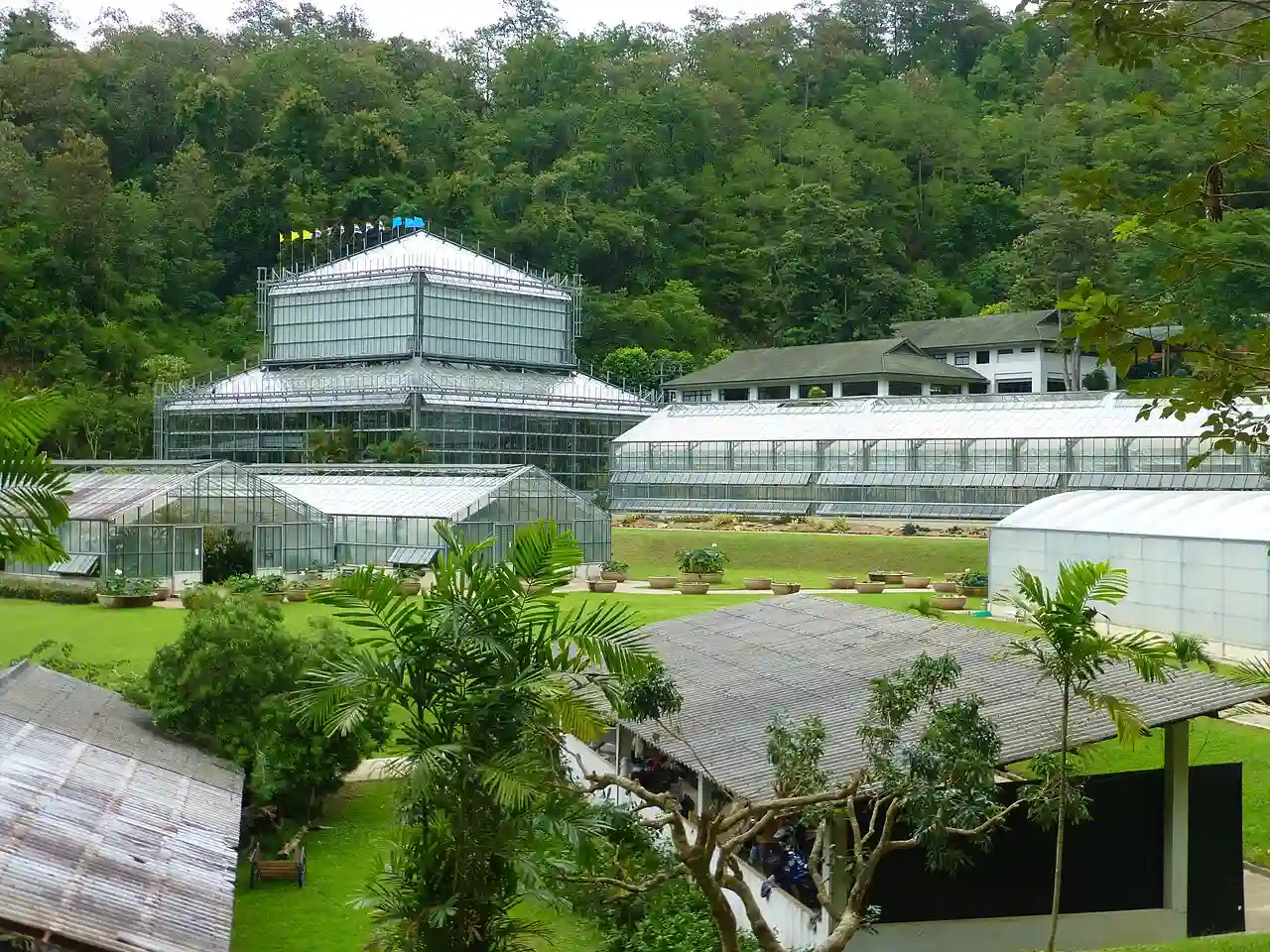 The Queen Sirikit Botanic Garden - Chiang Mai 2013 2651