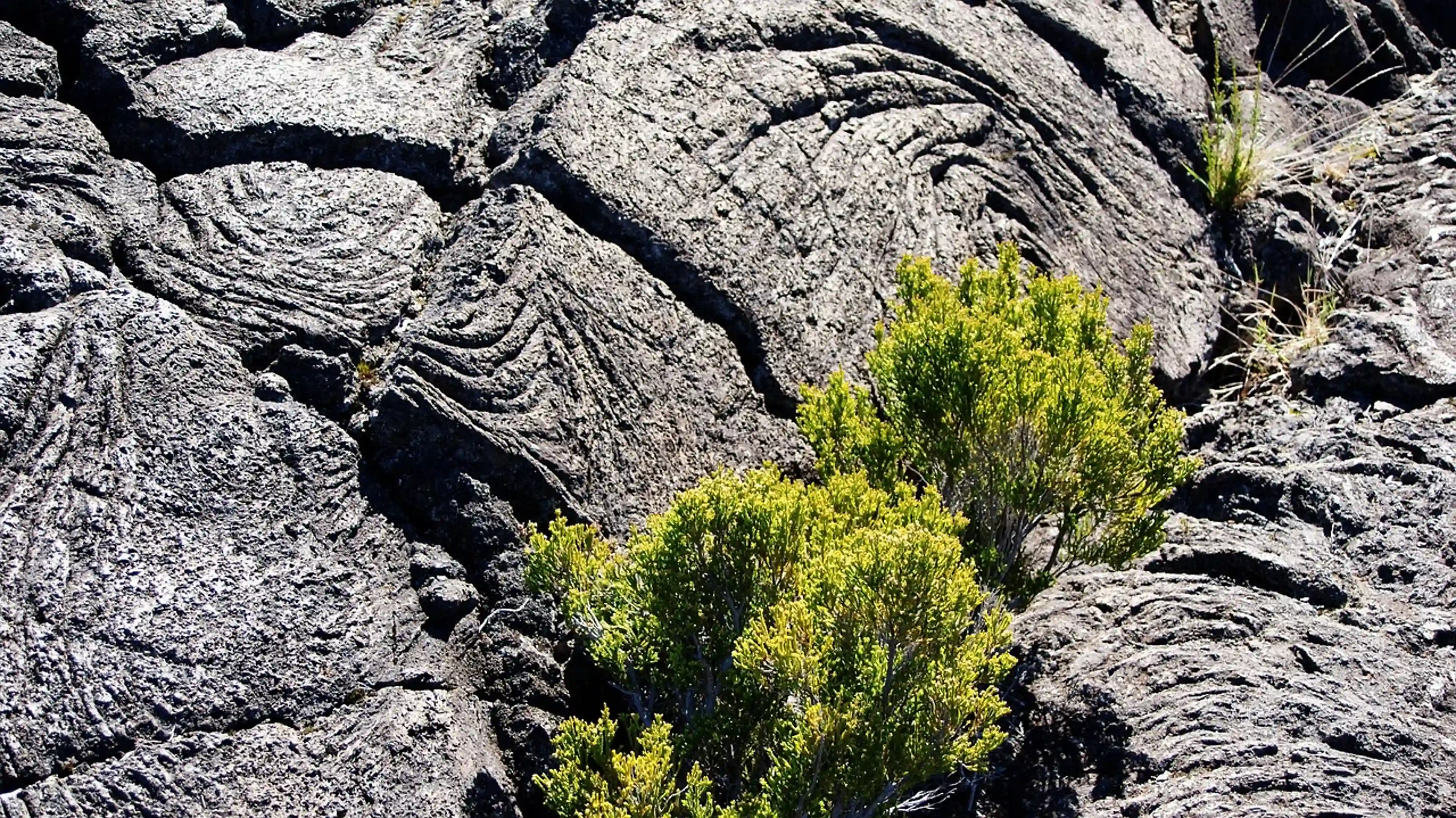 Réunion Island - 3