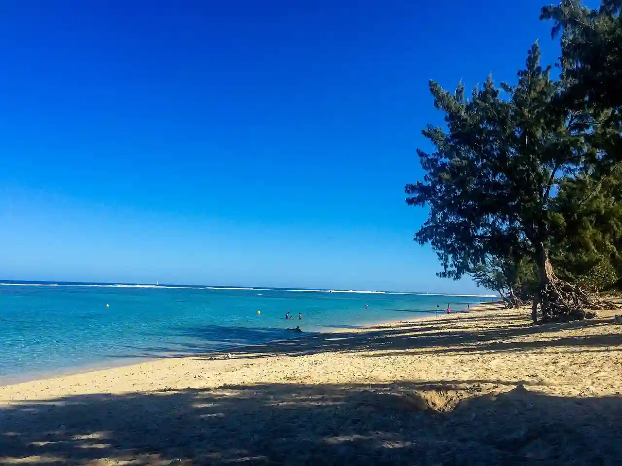 20150813--IMG 0749 (20595803191)