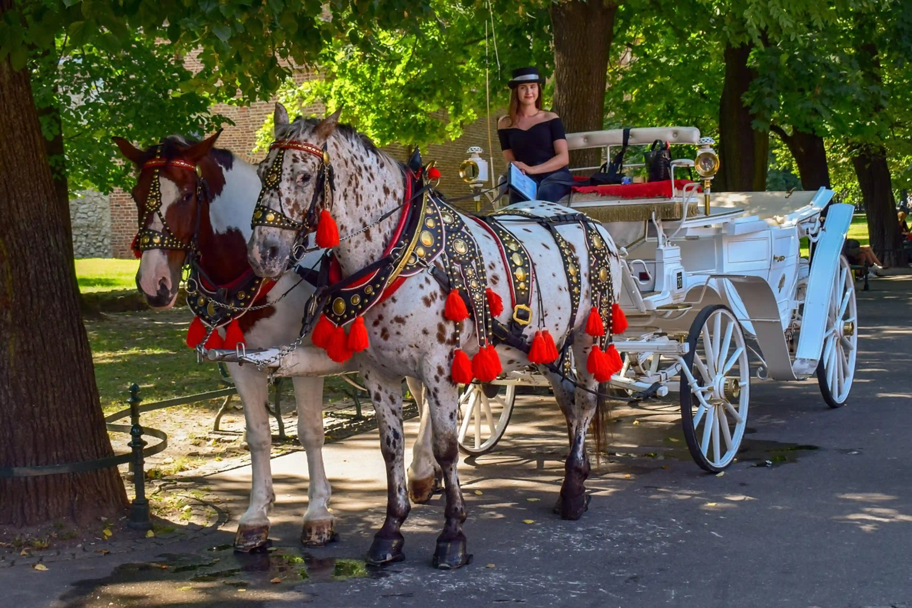 Krakow - 4