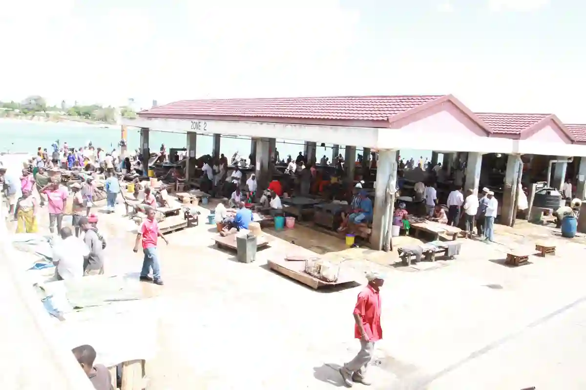 Kivukoni Fish Market Dar es Salaam, 2012