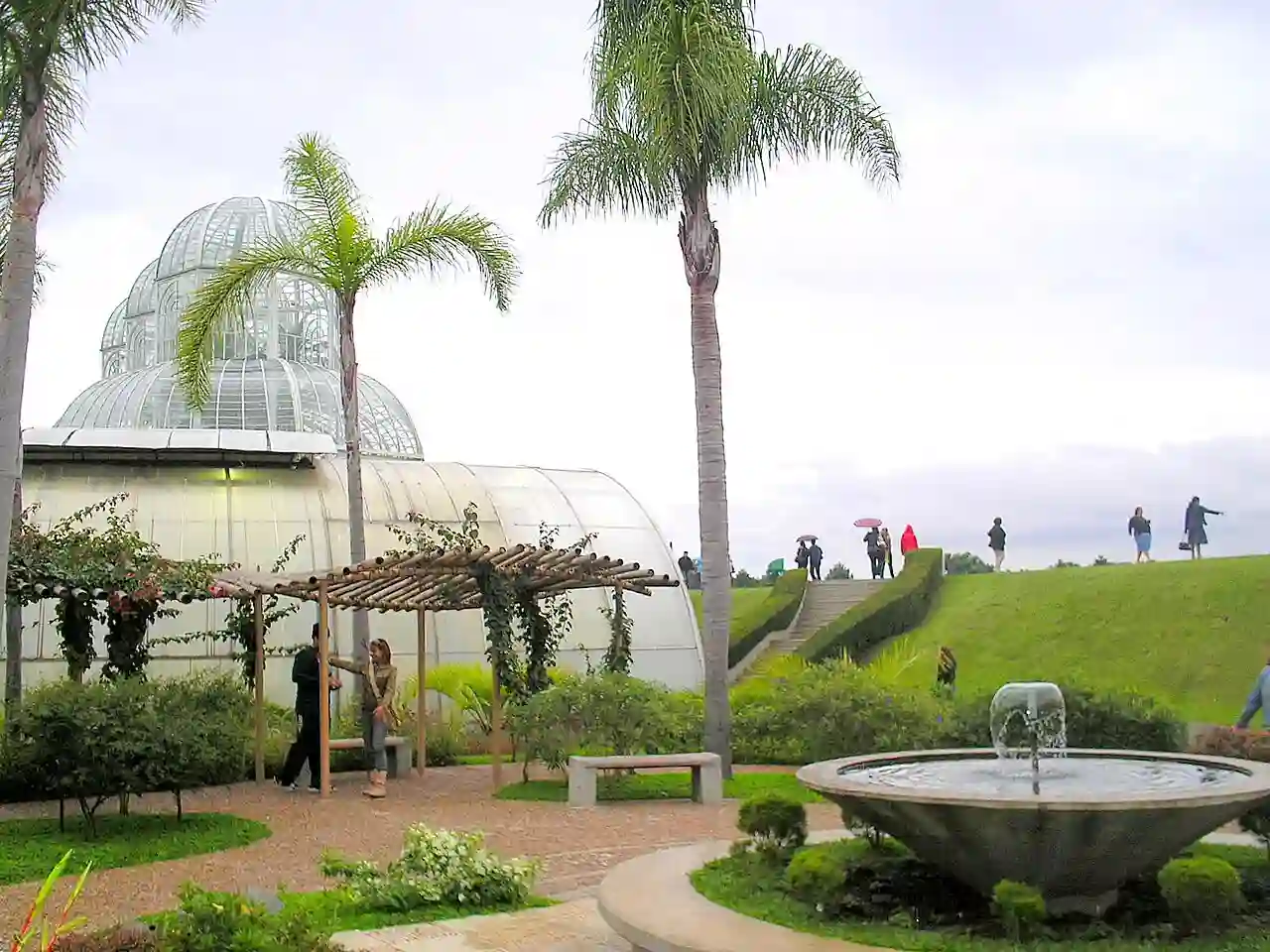 JardimBotanicoCuritiba.plantasdecuritiba
